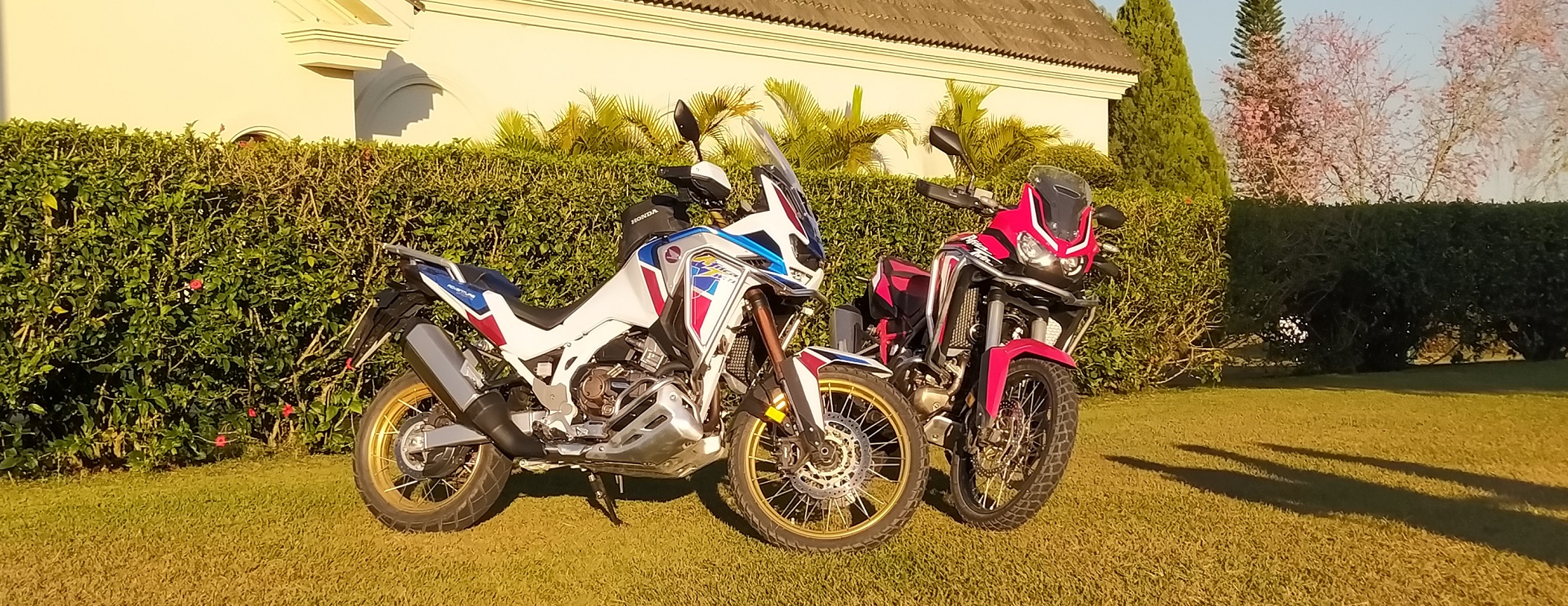 Honda Africa Twin 2021 Roberto Dutra (25)