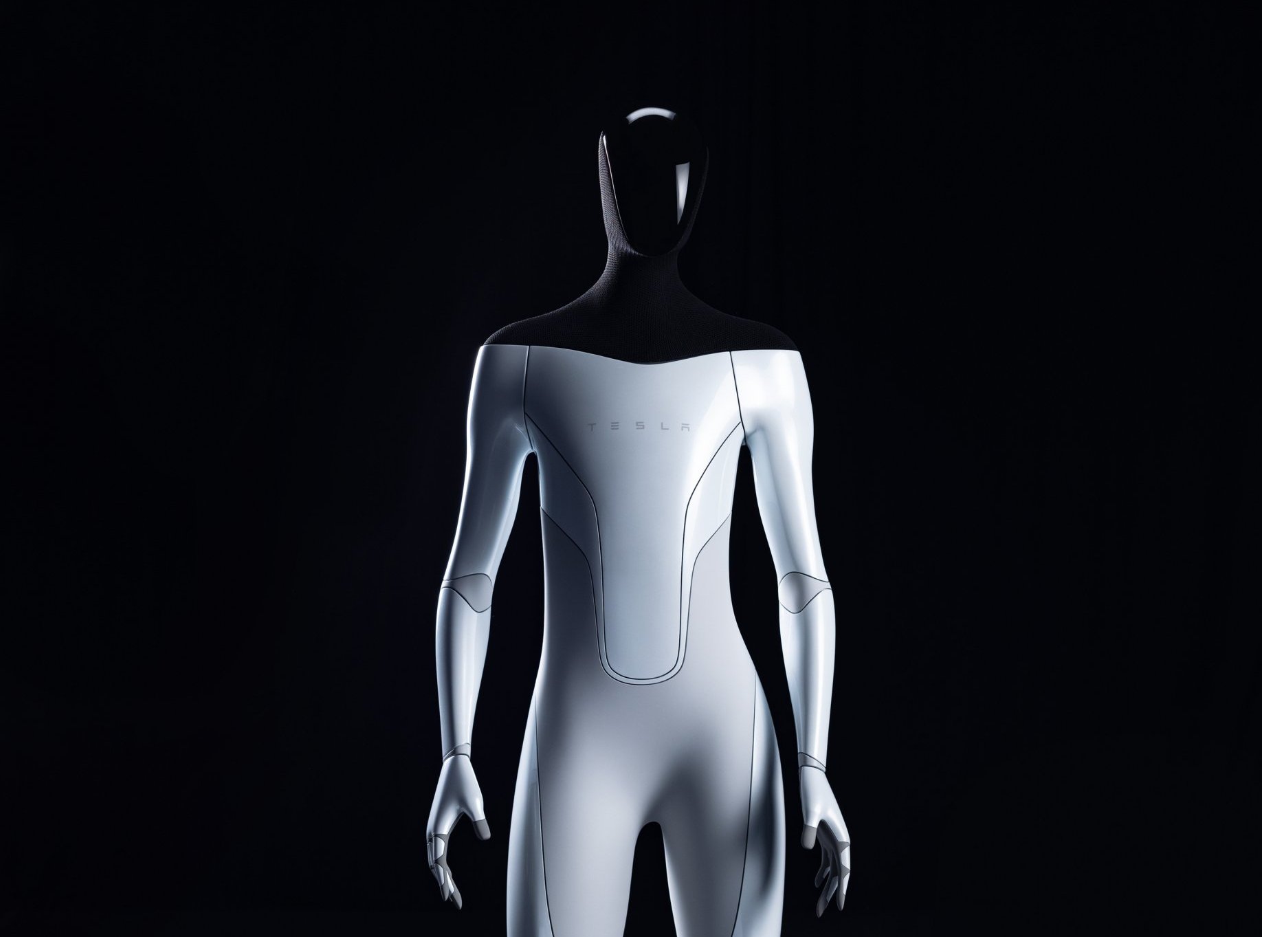 Tesla Bot
