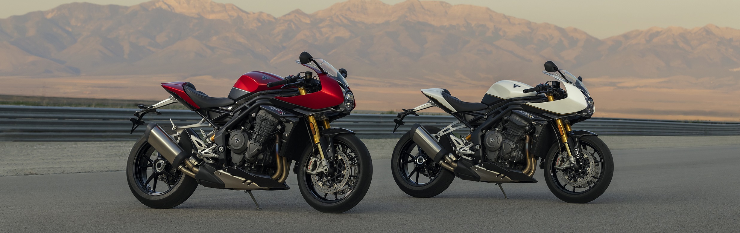 Triumph Speed Triple Rr (7)