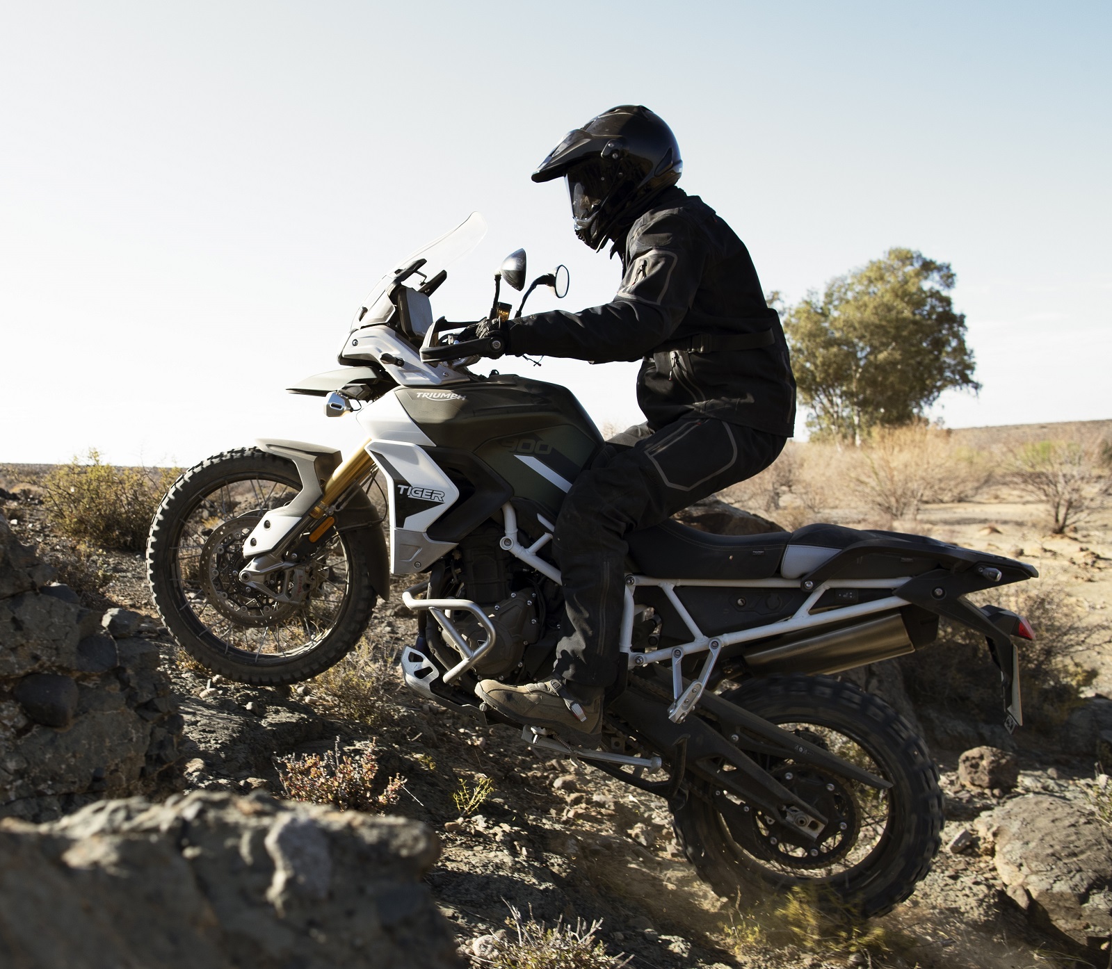 Triumph Tiger 900 Rally Pro
