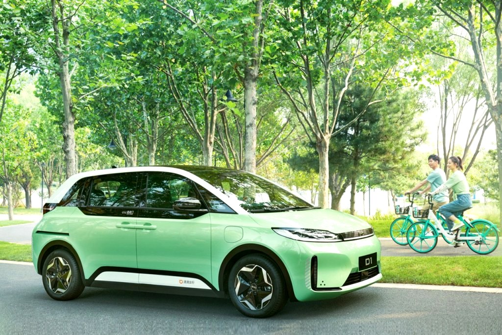 Byd D1