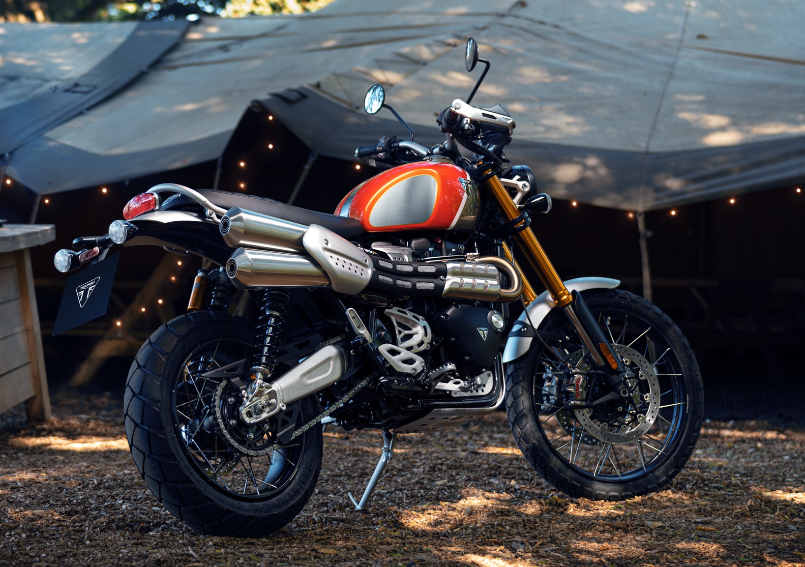 8. Special Edition Scrambler 1200 Xe Gold Line 3