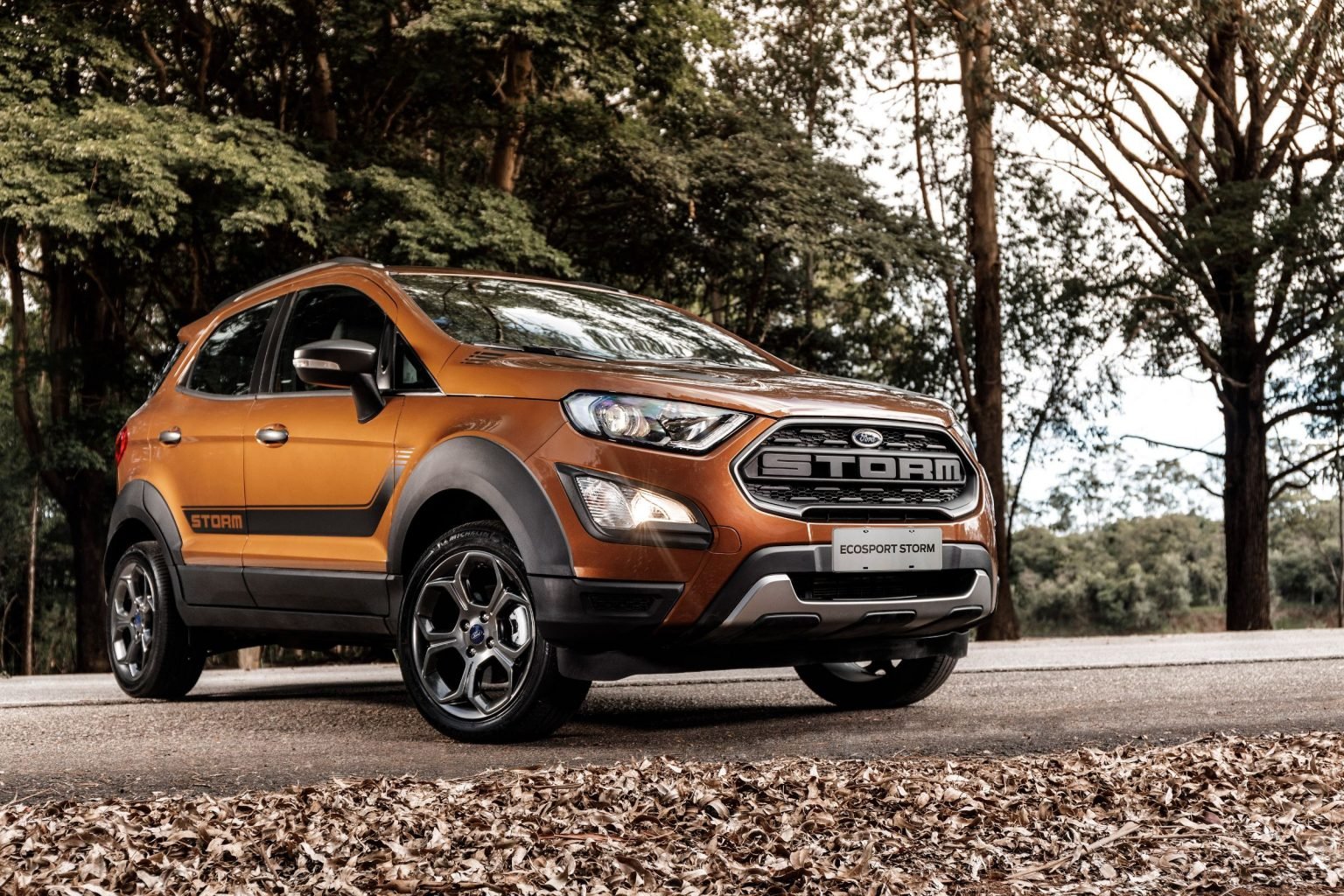 Ecosport