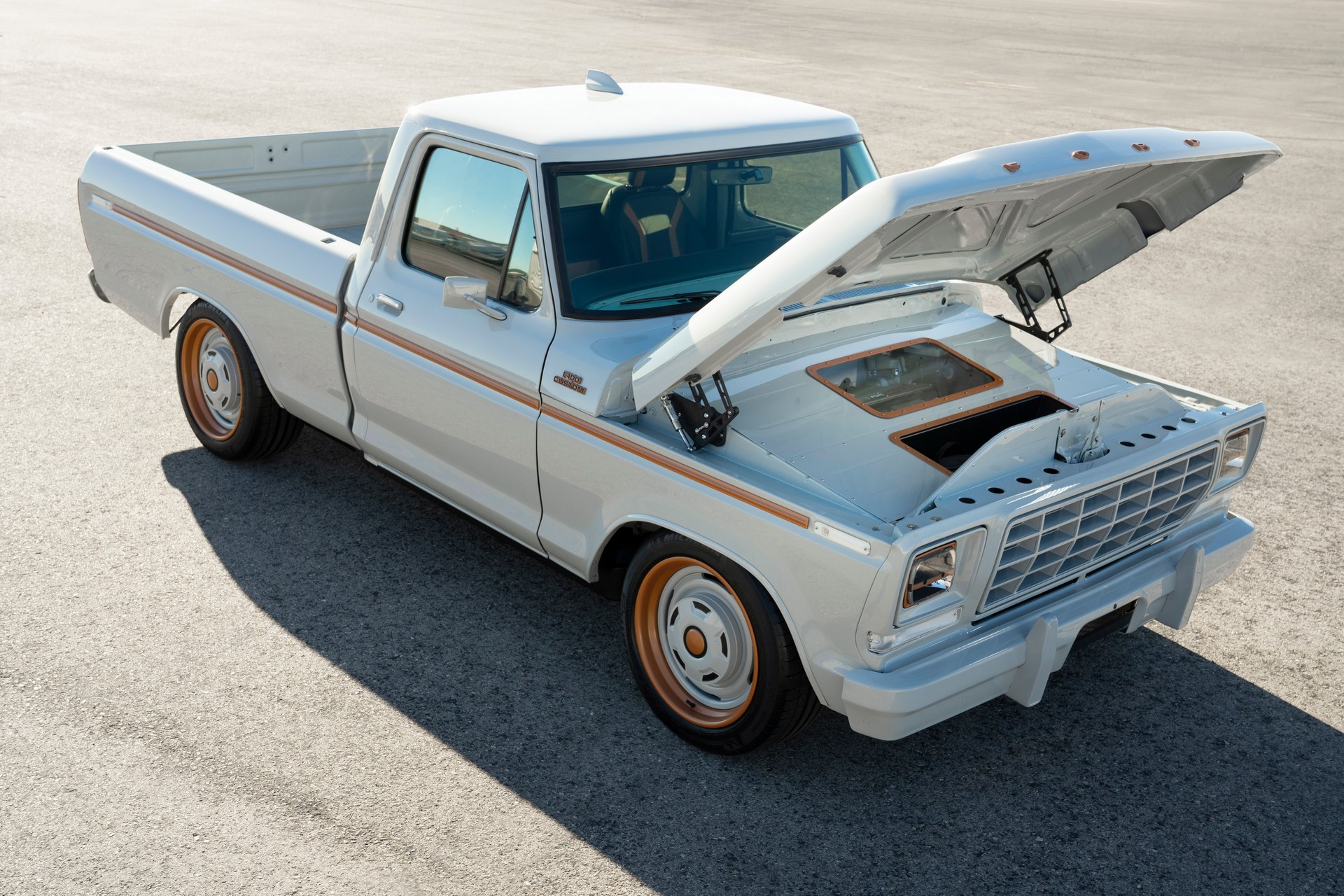 Ford F 100 Eluminator Concept 5