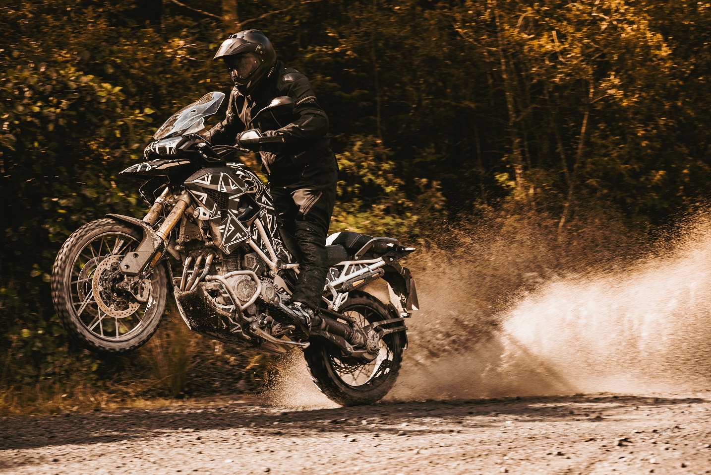 Triumph Tiger 1200 0256