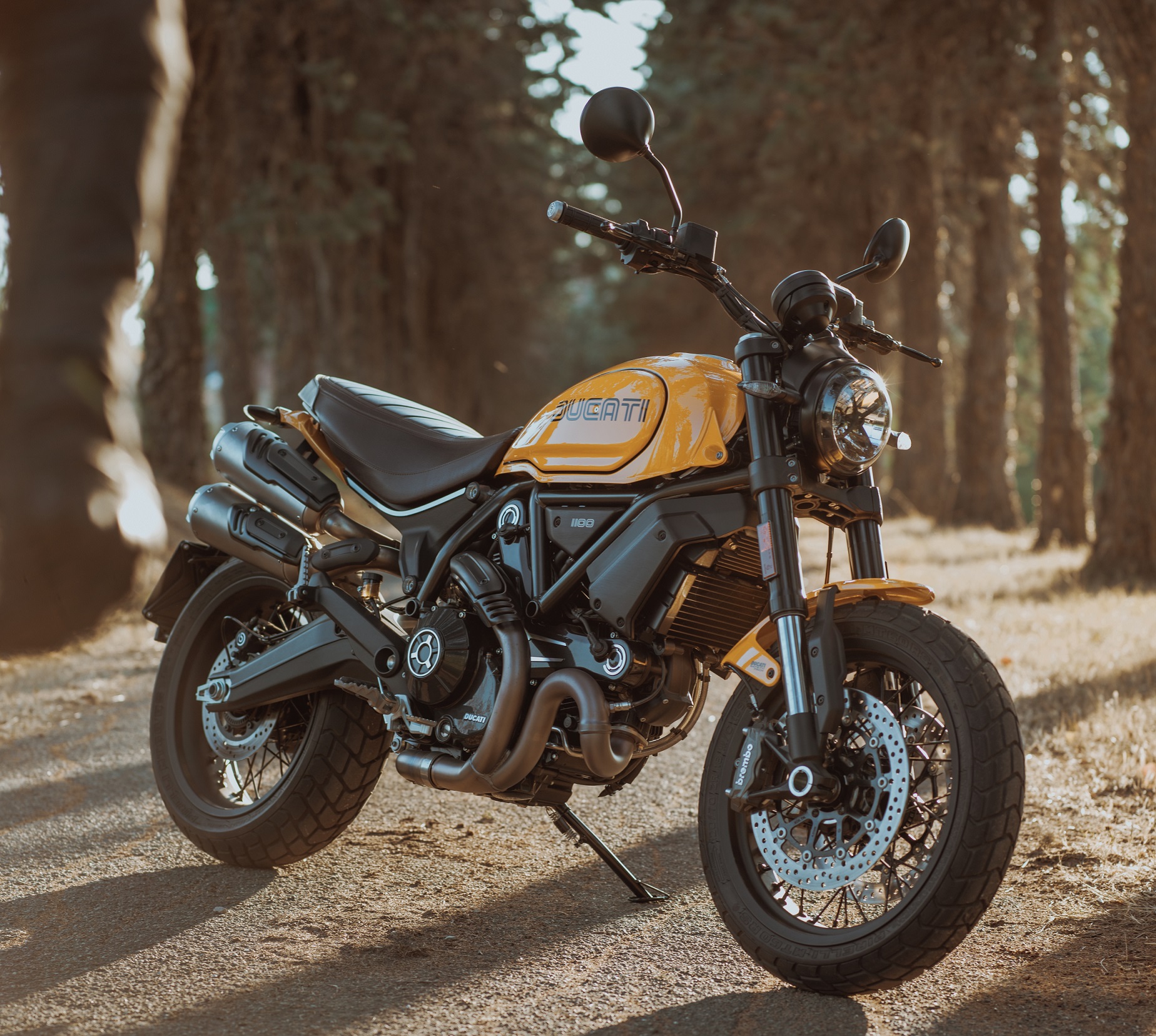My22 Ducatiscrambler 1100tributepro 037 Uc342887 High