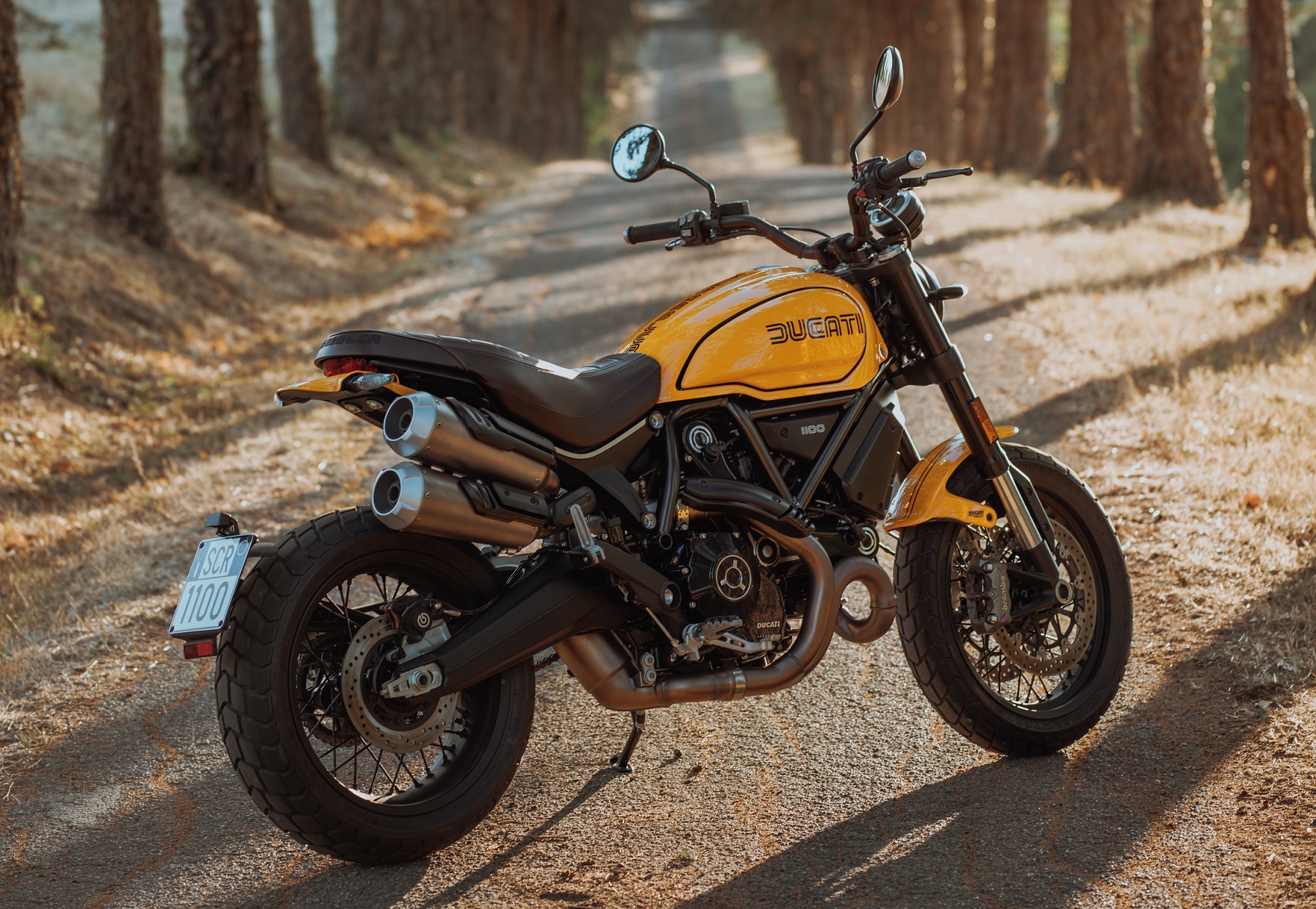 My22 Ducatiscrambler 1100tributepro 036 Uc342885 High