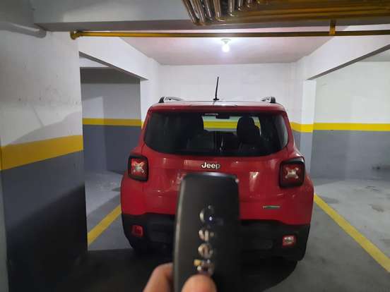 Renegade Limited