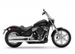 Fxst Softail Standard