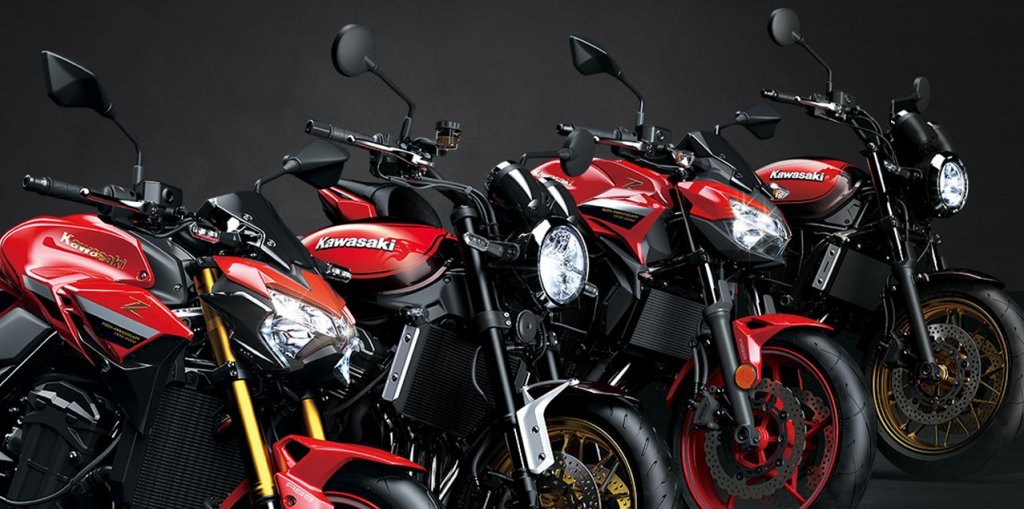Linha Z 50 Anos 1