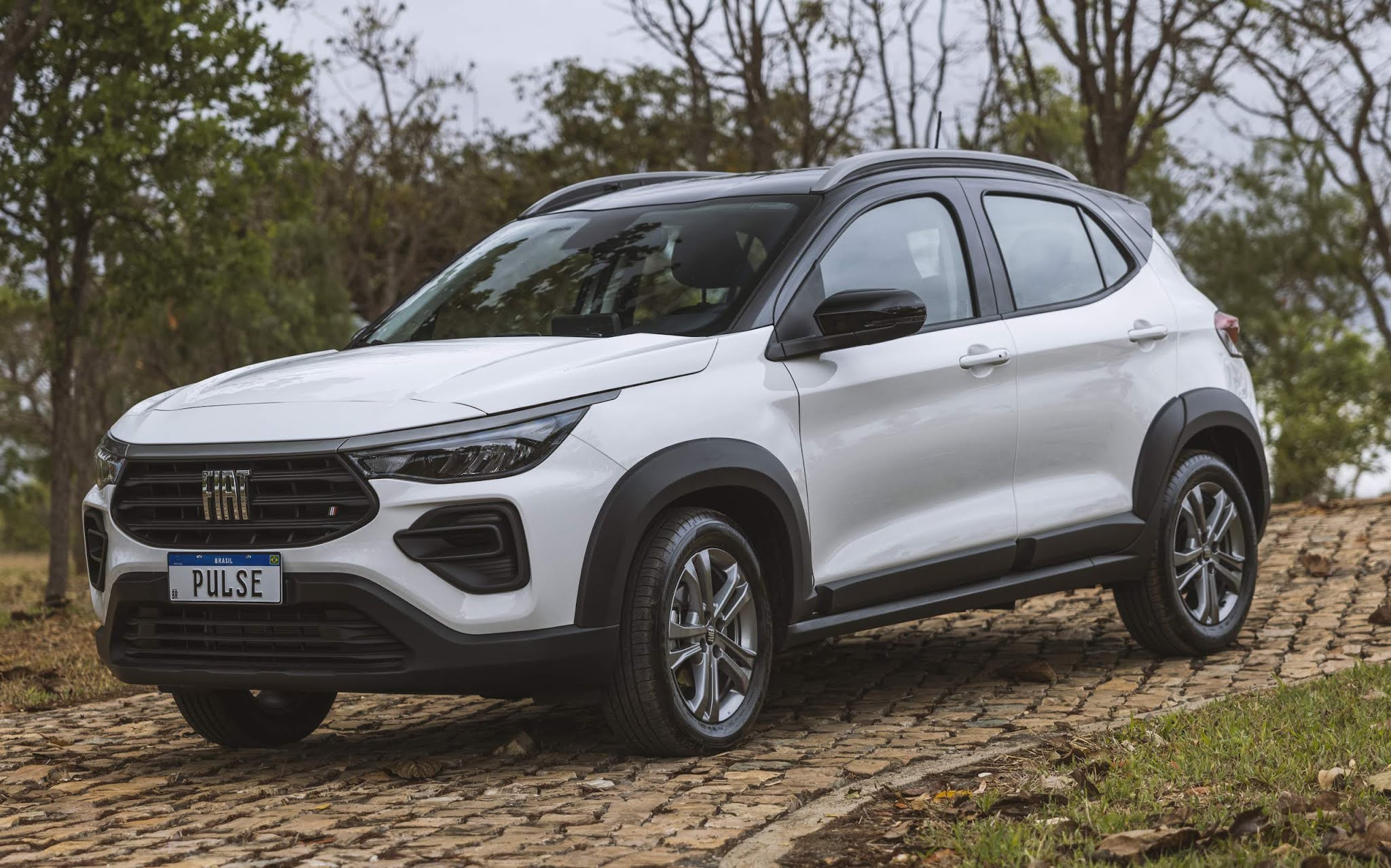 Fiat Pulse Drive 55