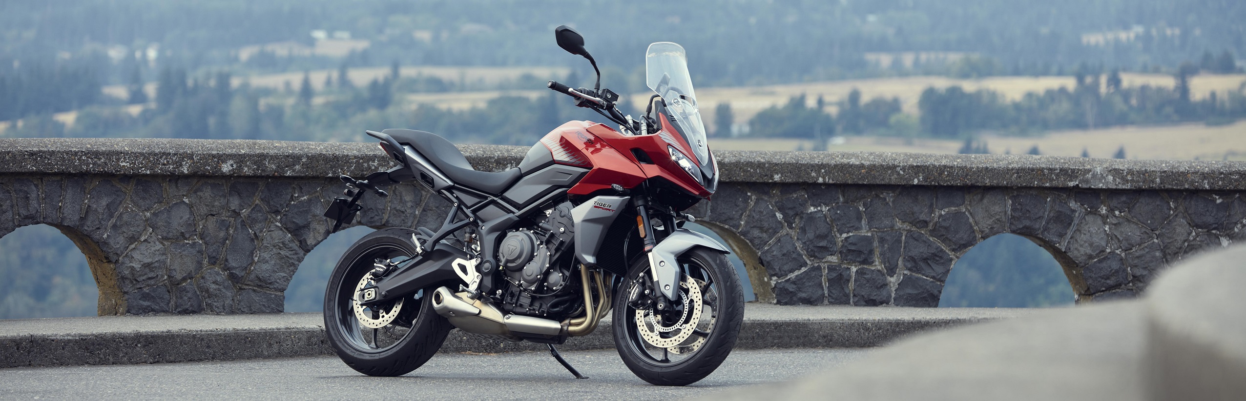 Triumph Tiger Sport 660 (1)
