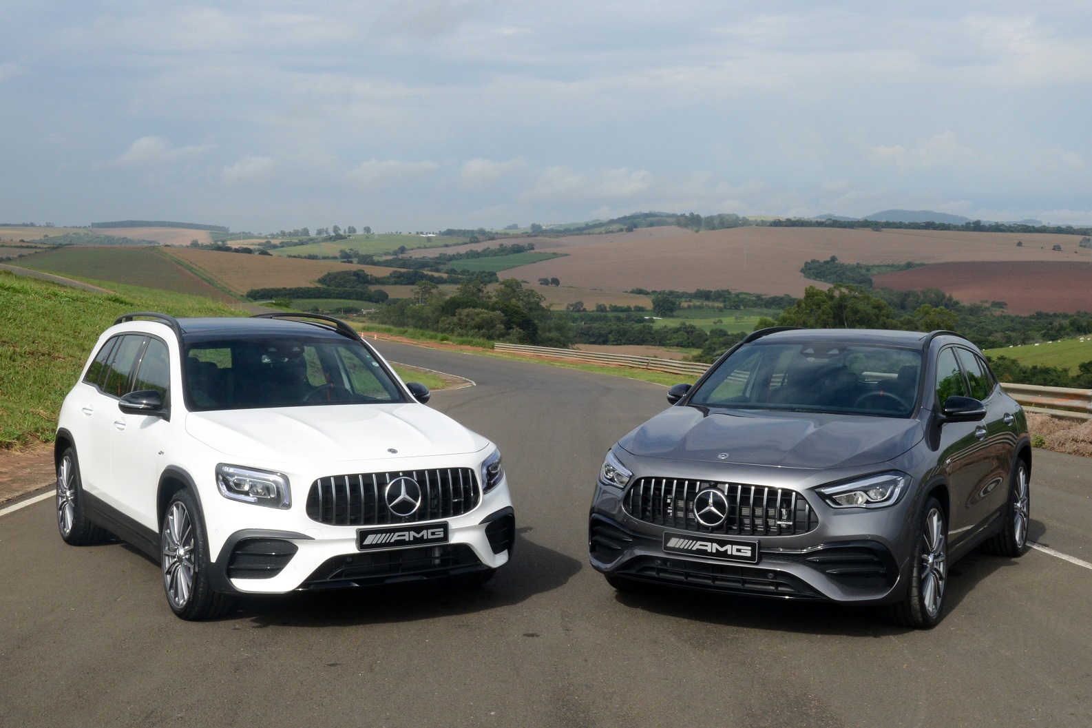 Gla E Glb Cortada
