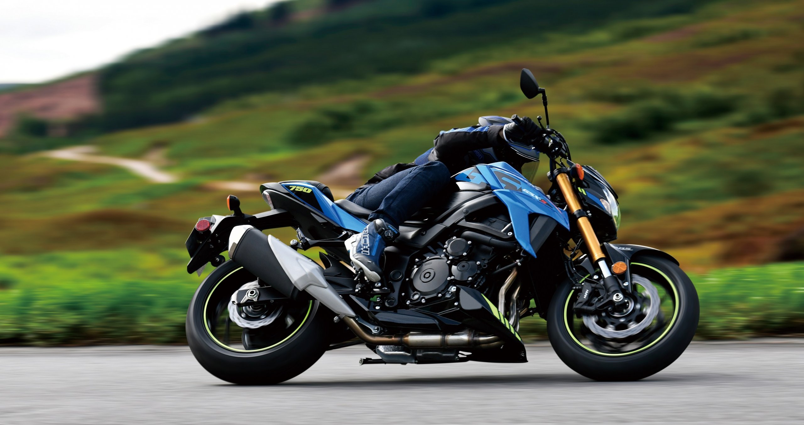 Suzuki Gsx S 750 2023 (1)