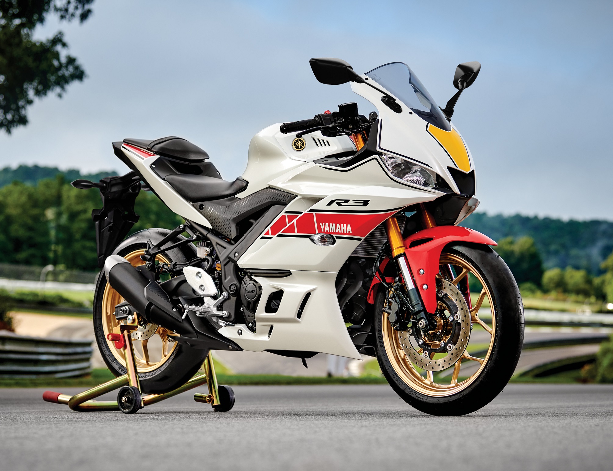 Yamaha R3 World Gp (7)