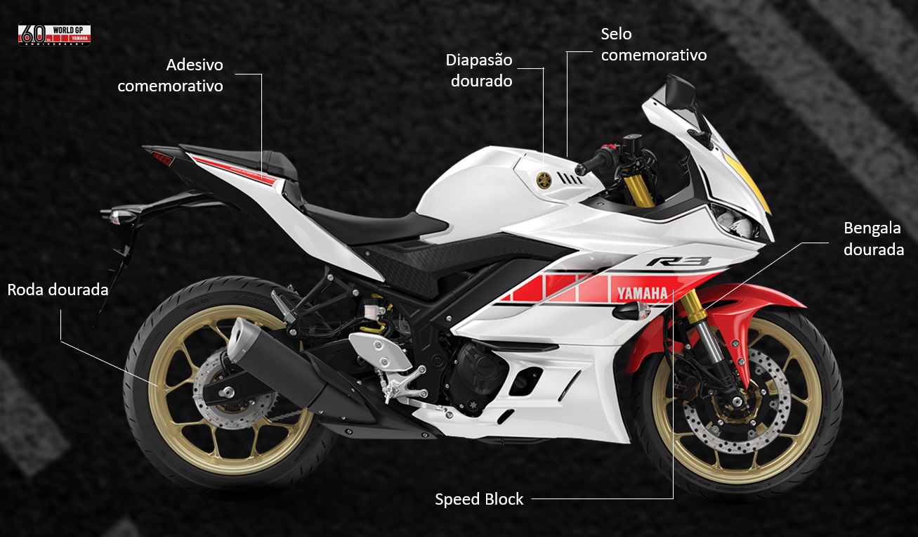 Yamaha R3 World Gp (6)