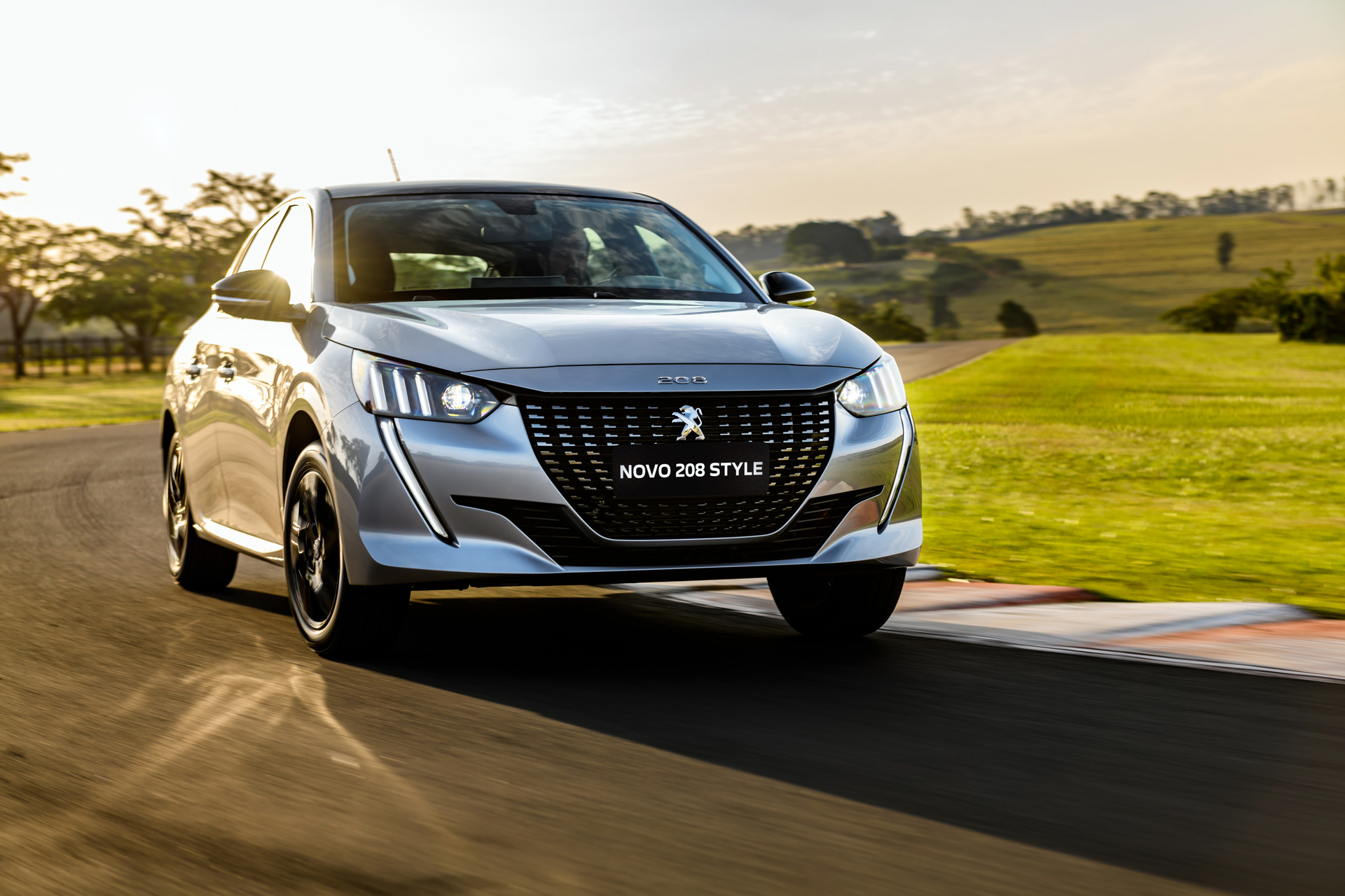 Peugeot 208 1 (12)
