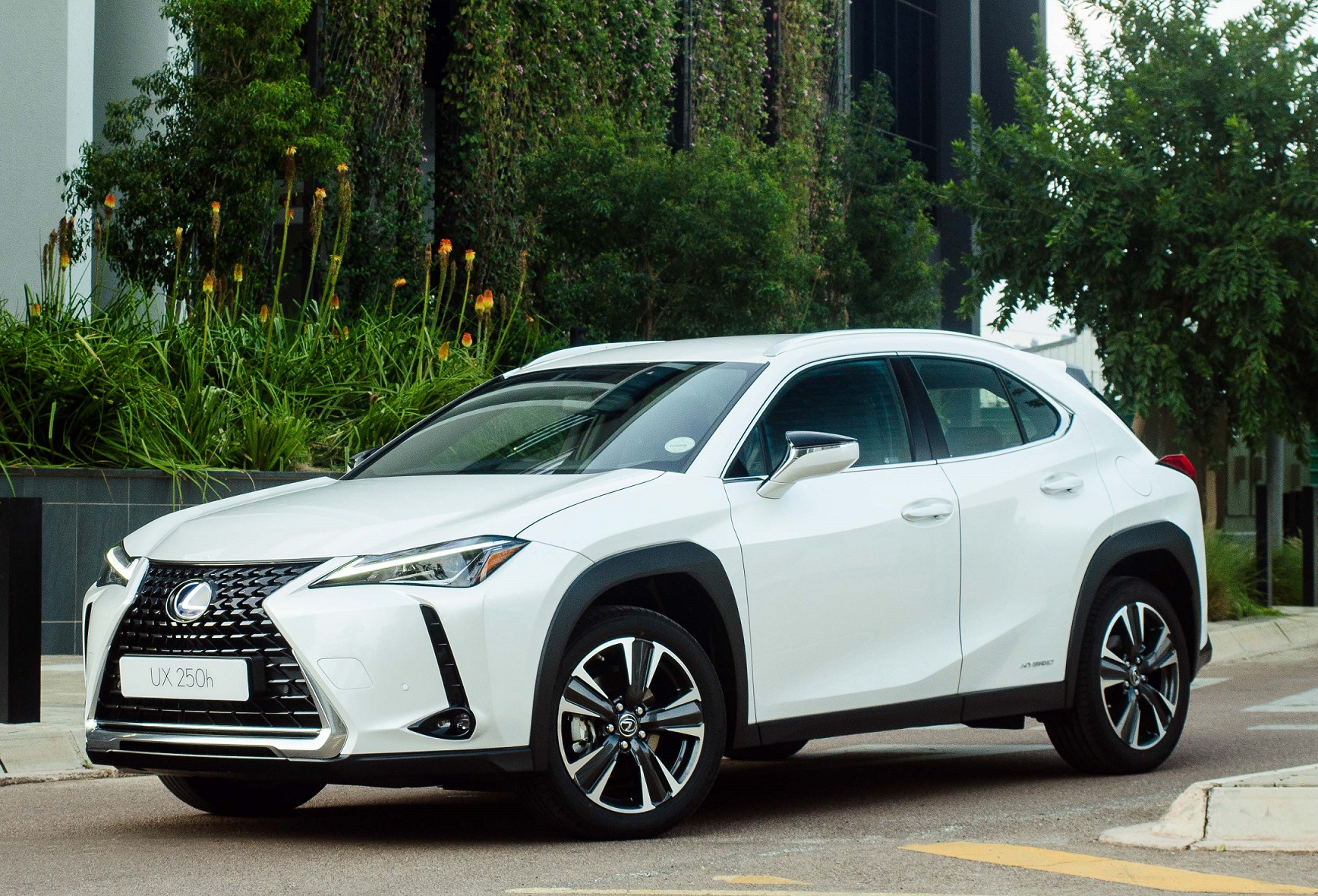 Foto 4 Lexus Ux 250h