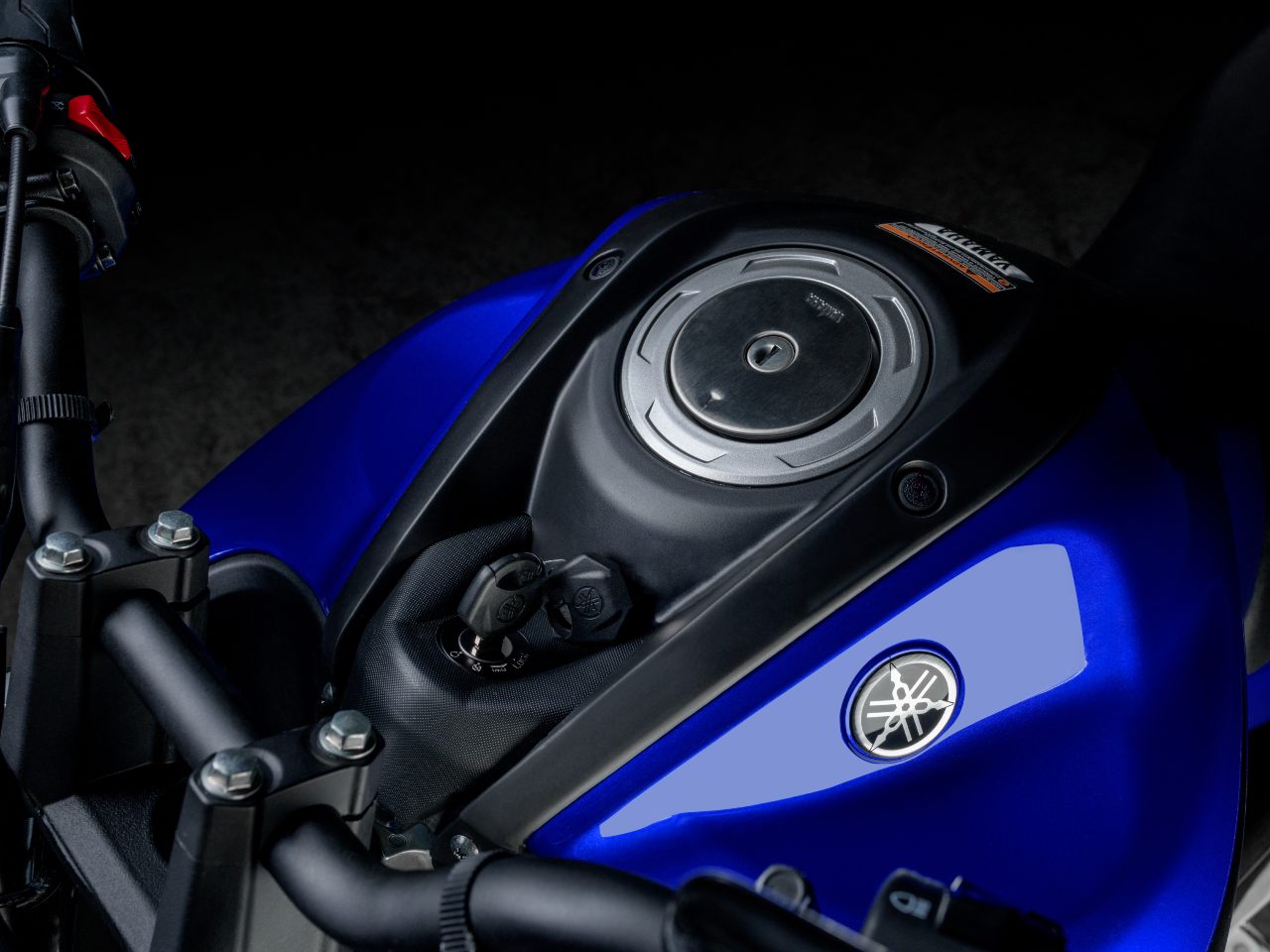 Yamaha Fz15 (10)