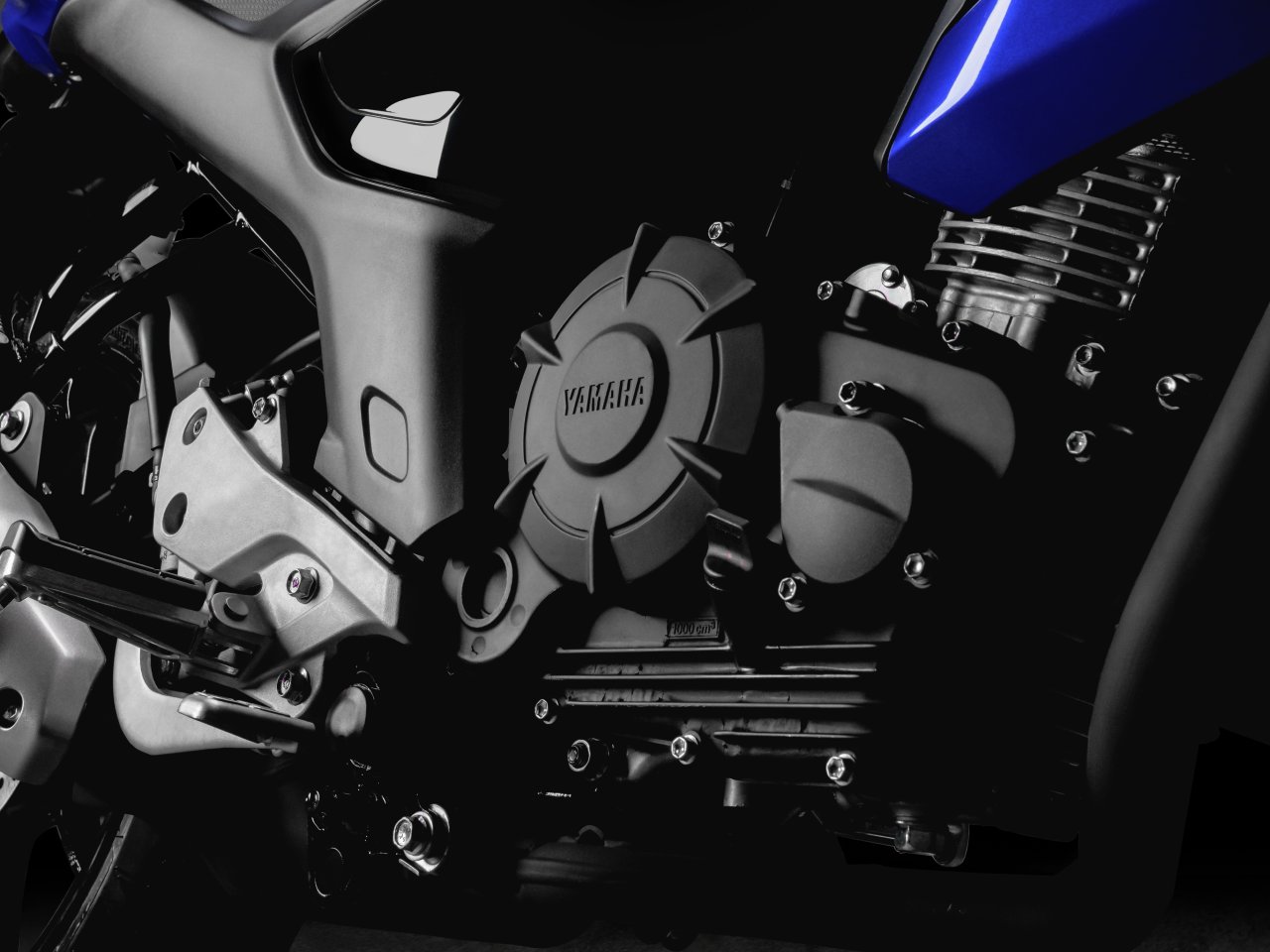Yamaha Fz15 (13)