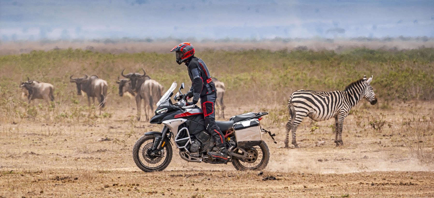 Ducati Multistrada V4 Rally (2)