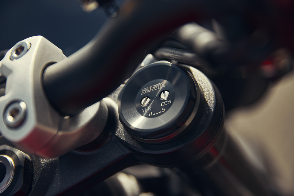 Triumph Street Triple 765 2023 (12)