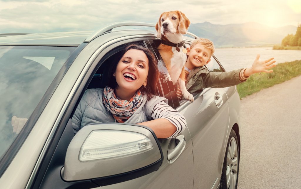 Happy,family,look,out,from,car,windows