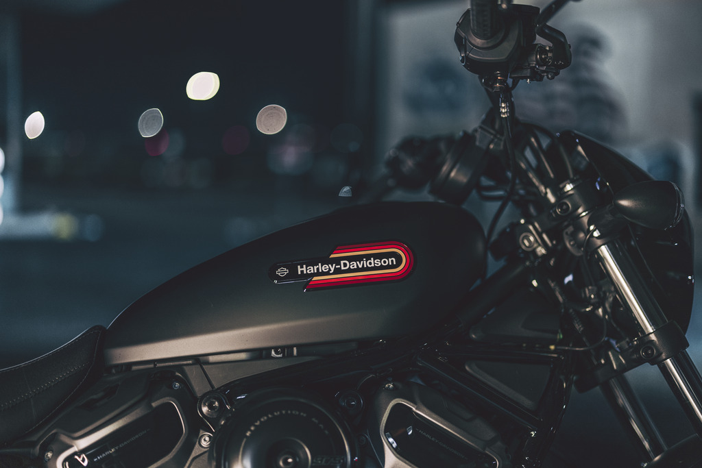Harley Davidson Nightster Special (3)