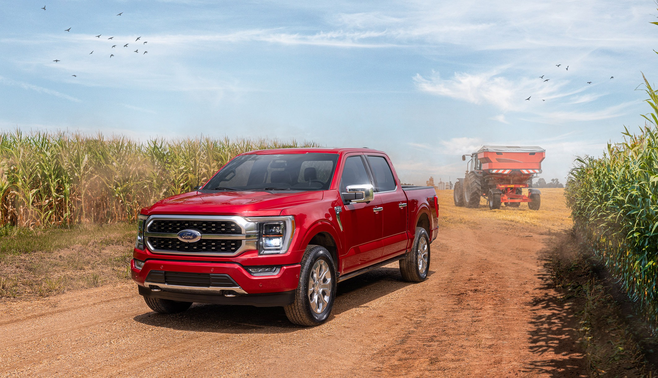Ford F 150 Platinum 4 4 11zon