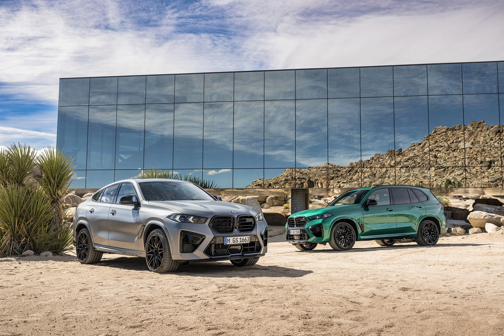Bmw X5 E X6 M Competititon (3)
