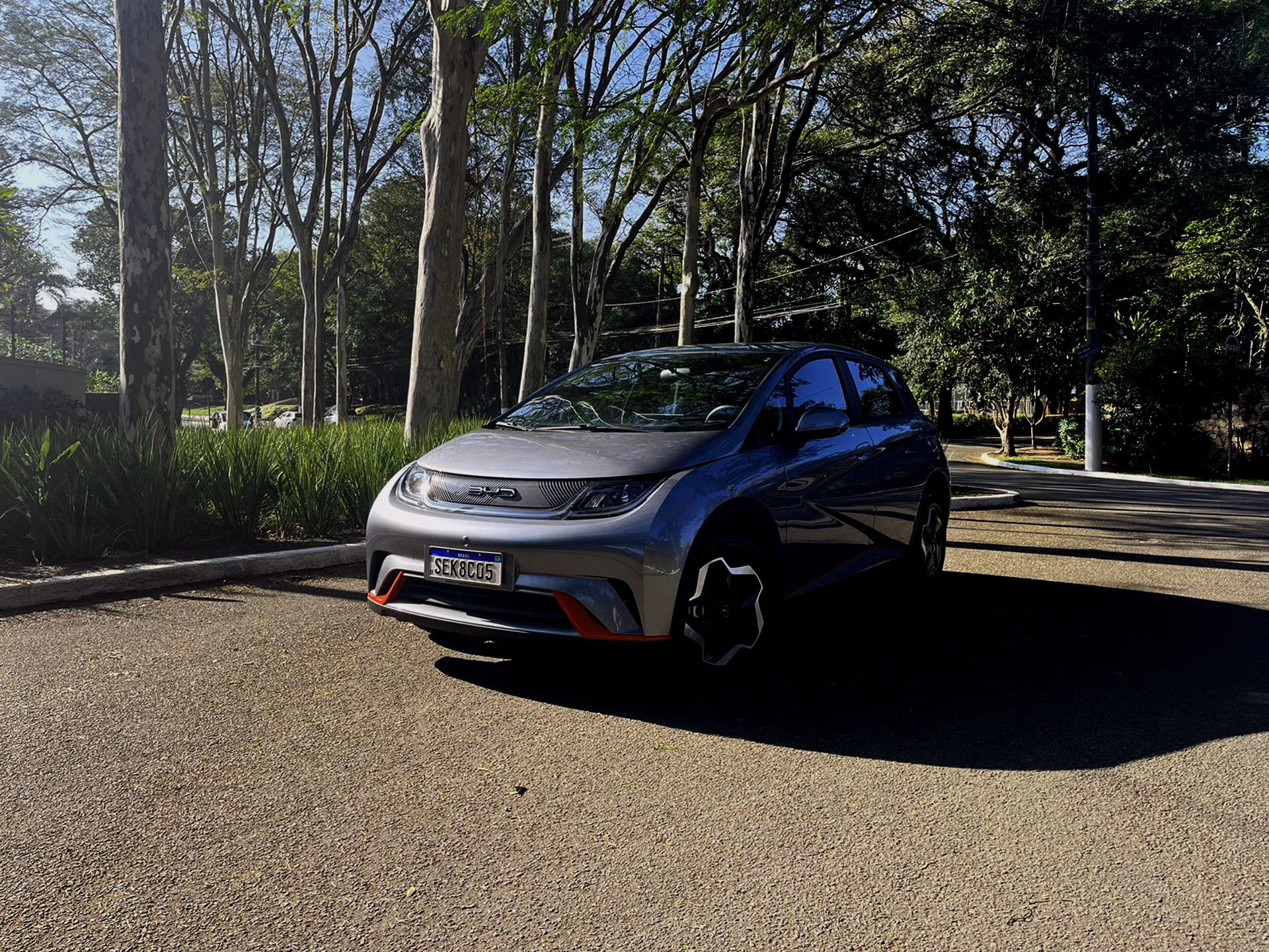 BYD Dolphin Frente