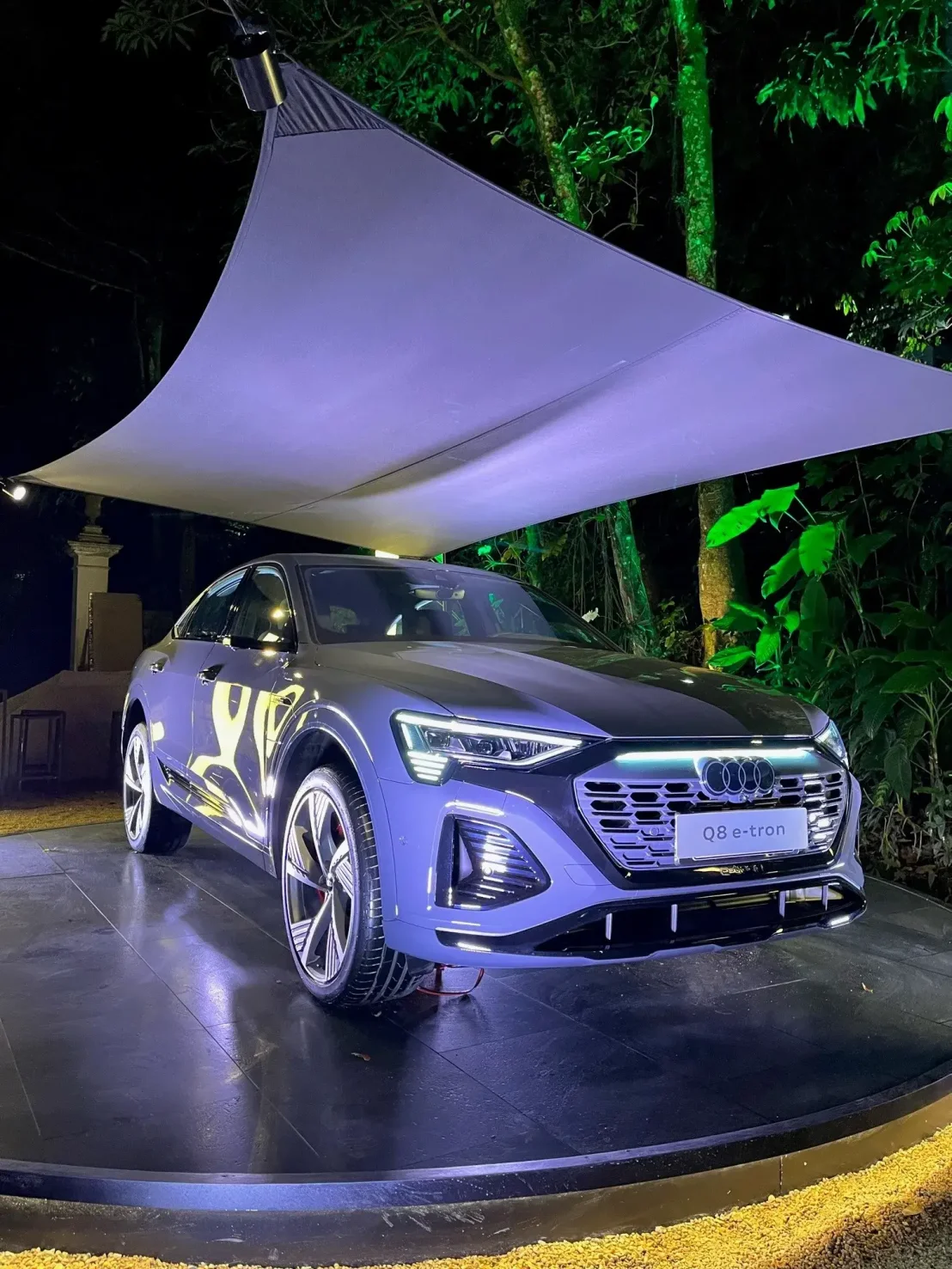 Audi Q8 E Tron