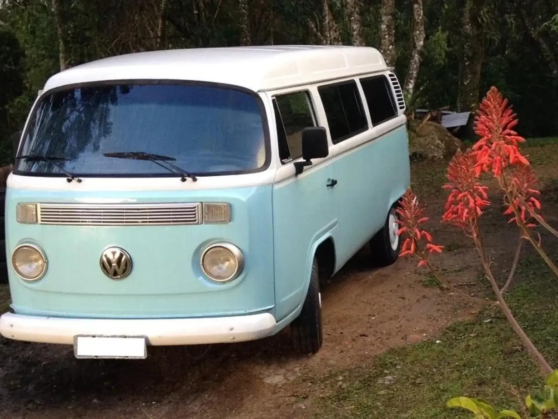 Volkswagen Kombi 1.6 Mi Std Lotacao 8v Gasolina 3p Manual Wmimagem17385345968