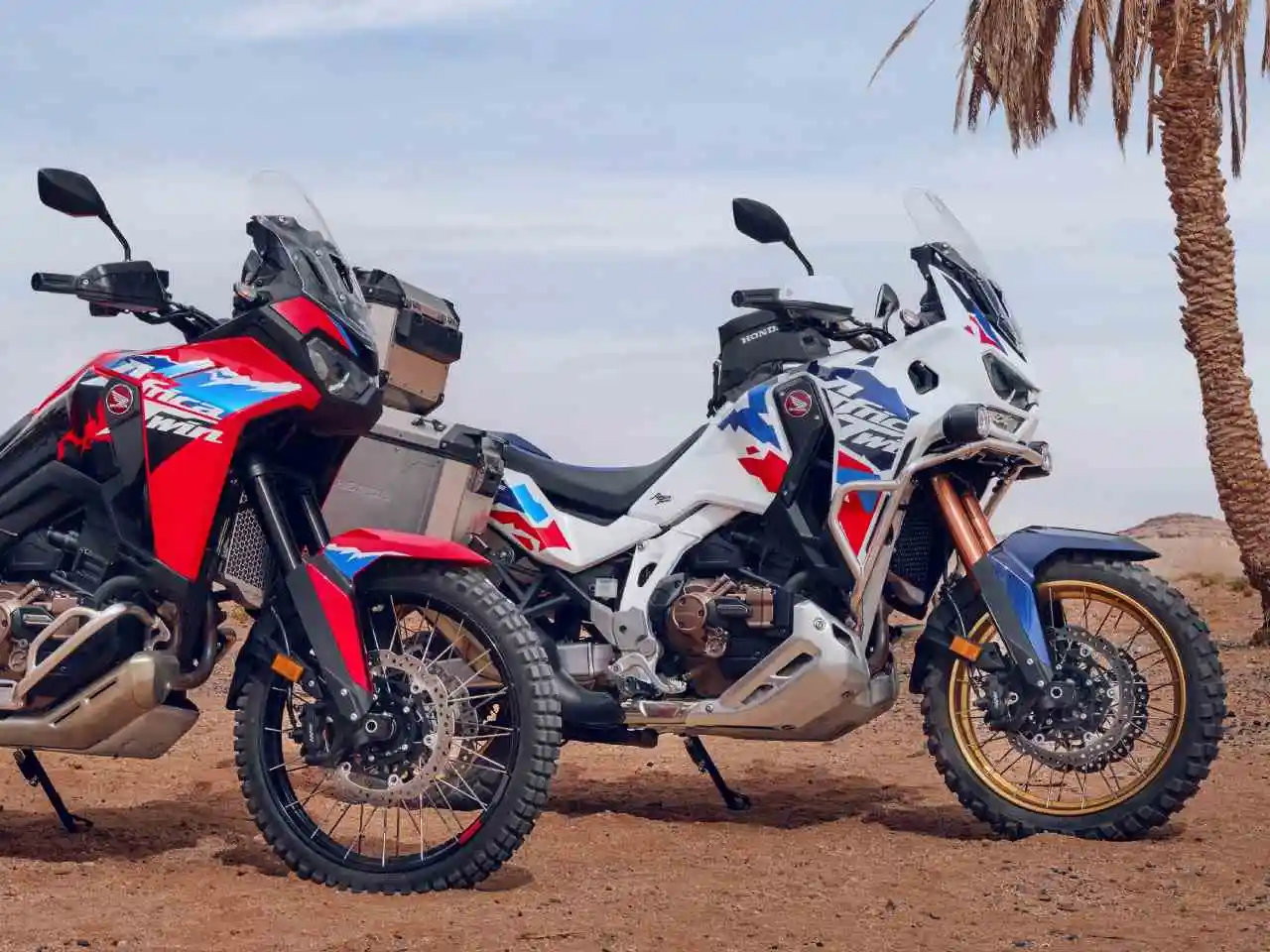 Honda Africa Twin 2024 Europa (4)