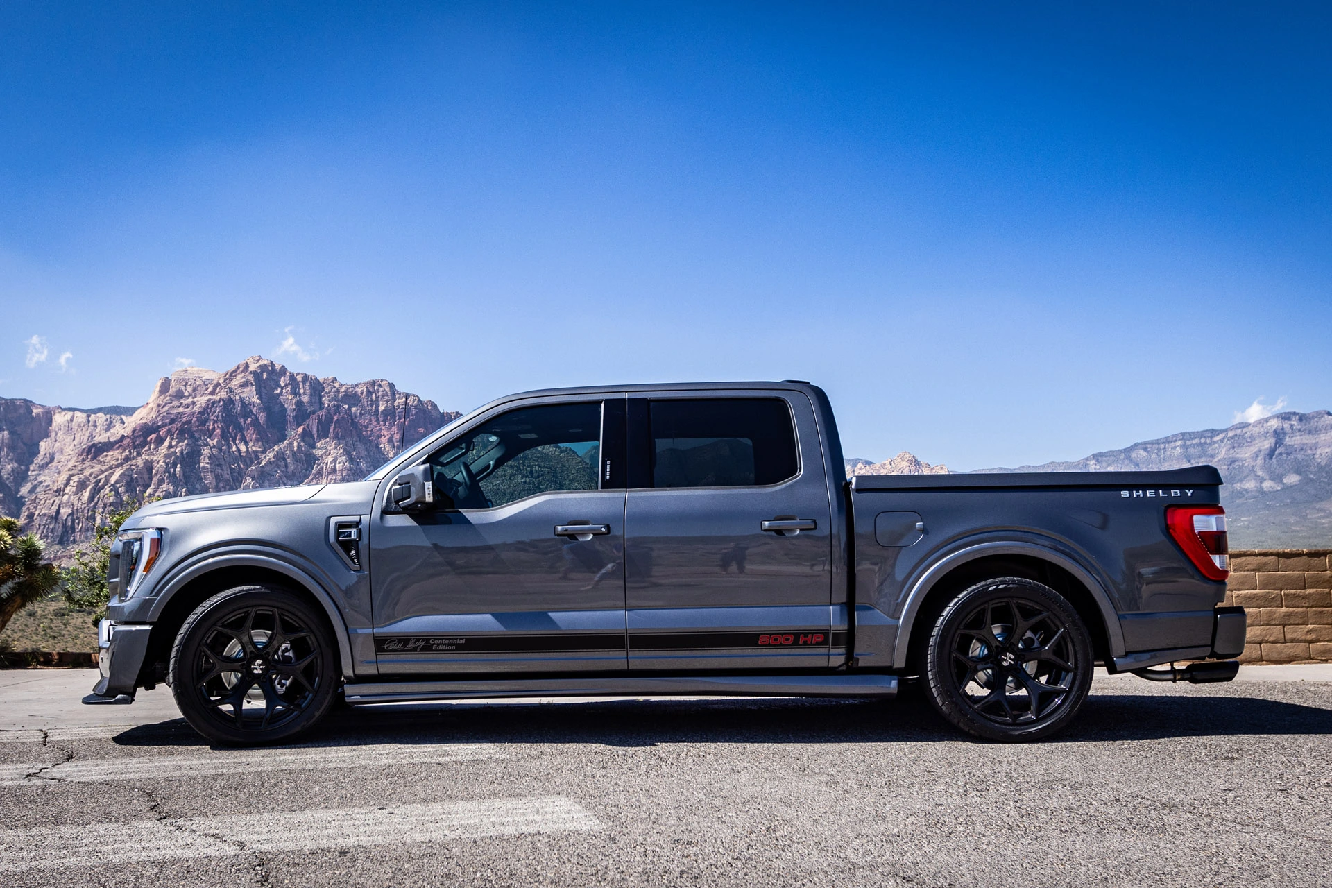 Shelby 19 F2