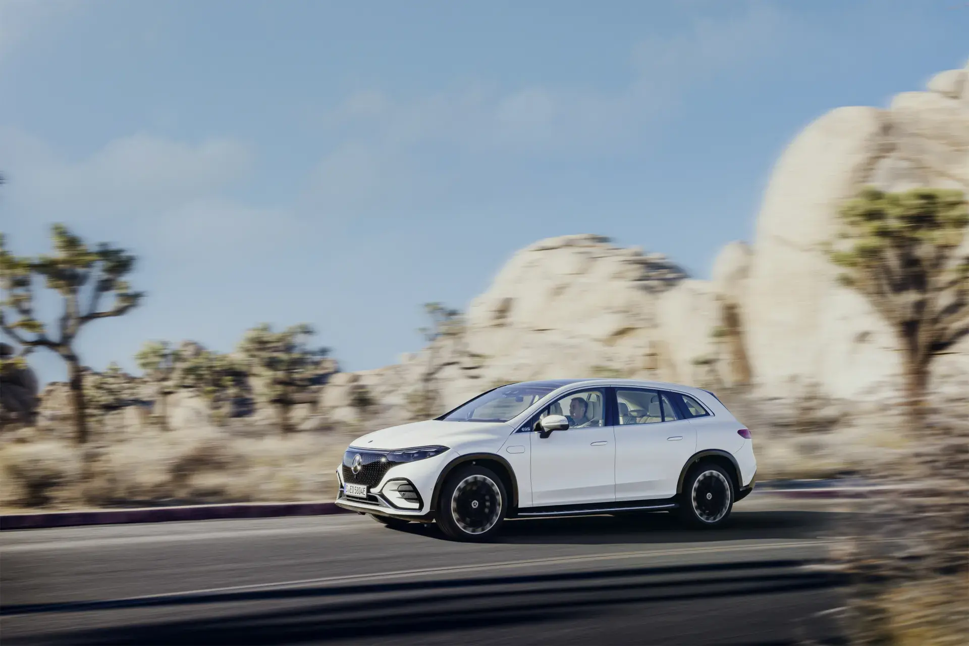 Mercedes-Benz Eqs 450+ Suv 2