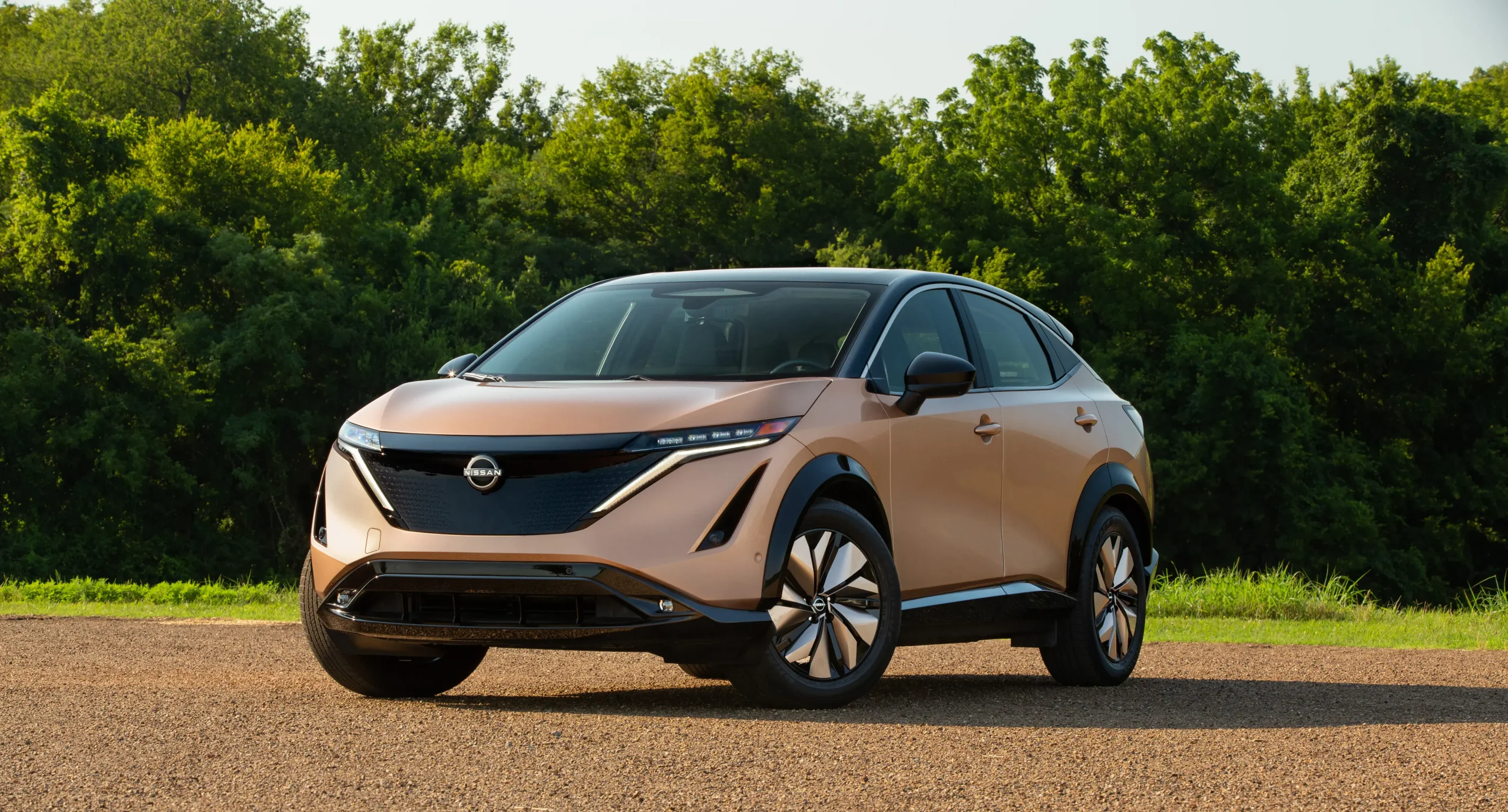 Nissan Ariya: primeiras unidades serão apenas para mostrar tecnologia da marca.