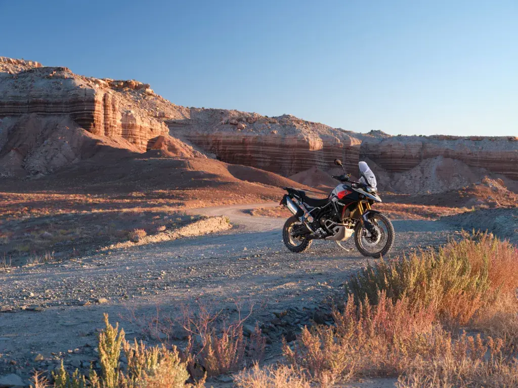 Tiger 900 Rally Pro My24 11276 Jp