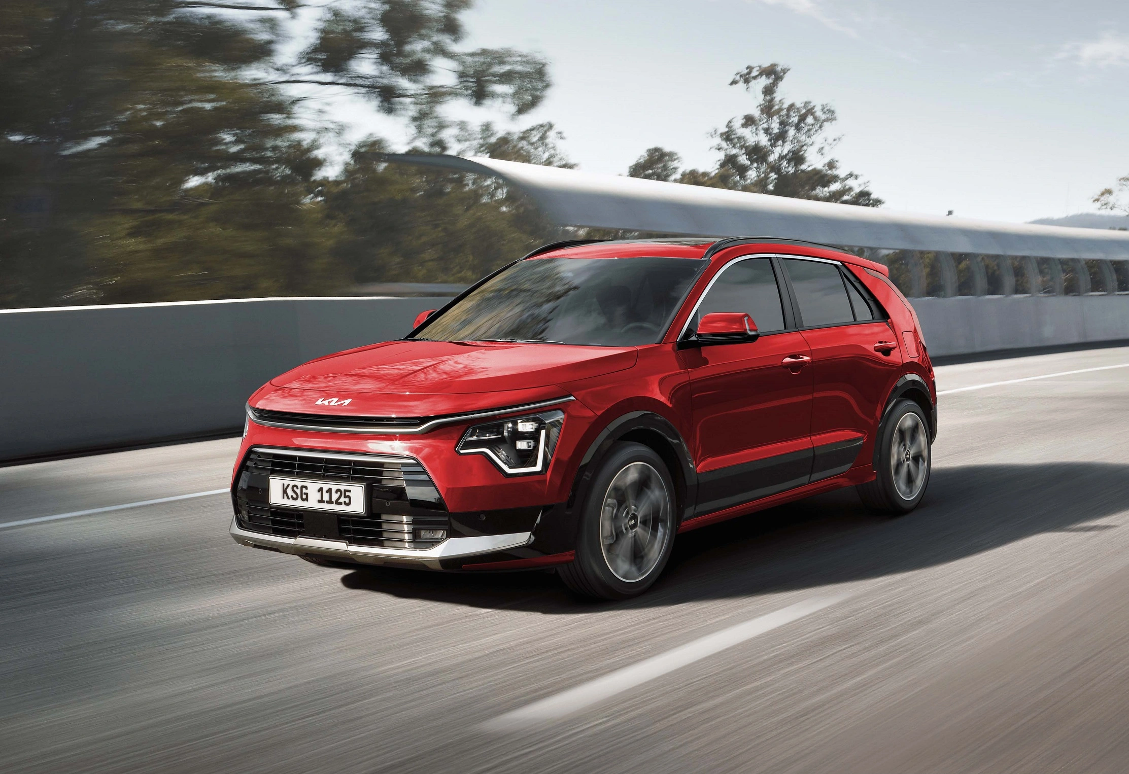 Kia Niro Rio Open 3