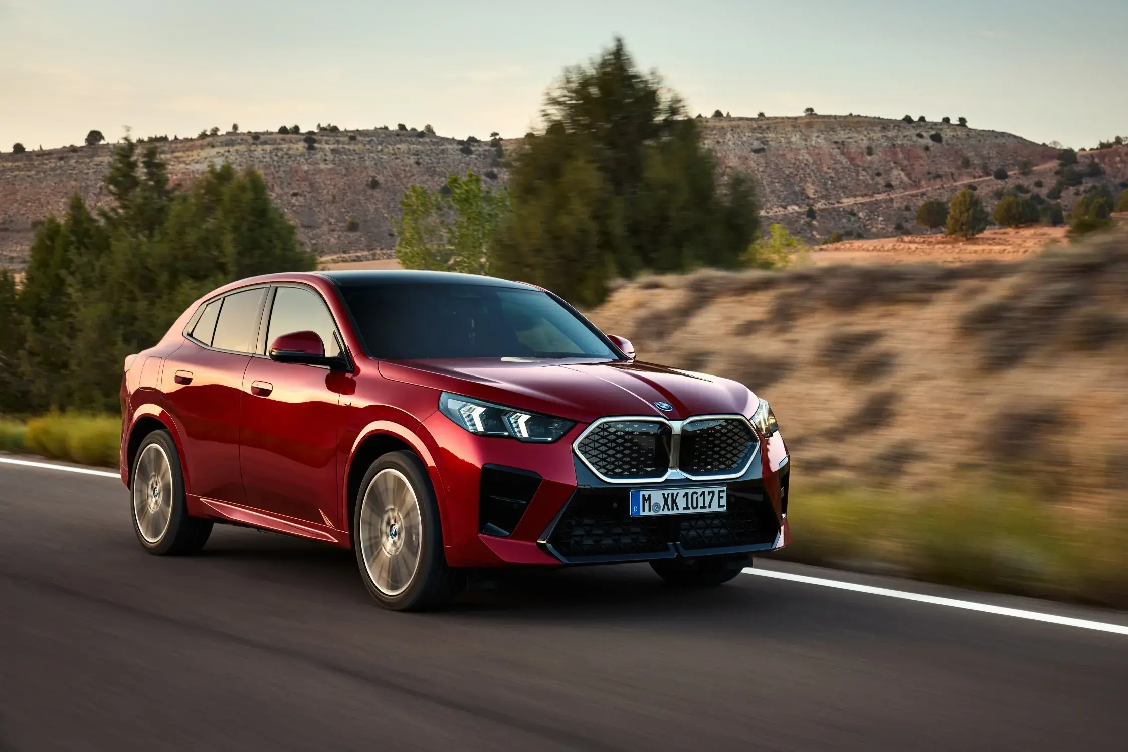 Bmw Ix2 (4)