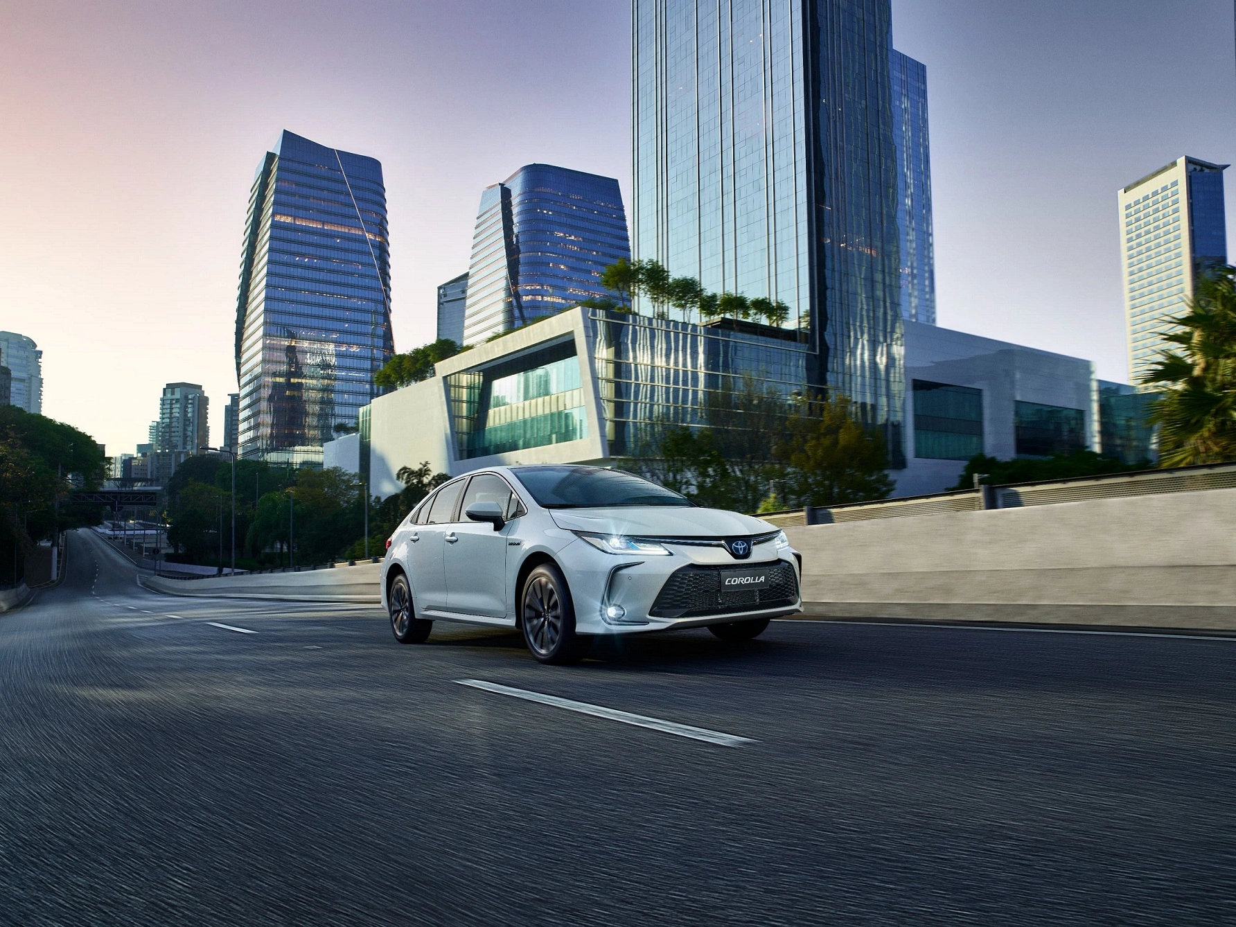 2023.08.19 Toyota Corolla142048