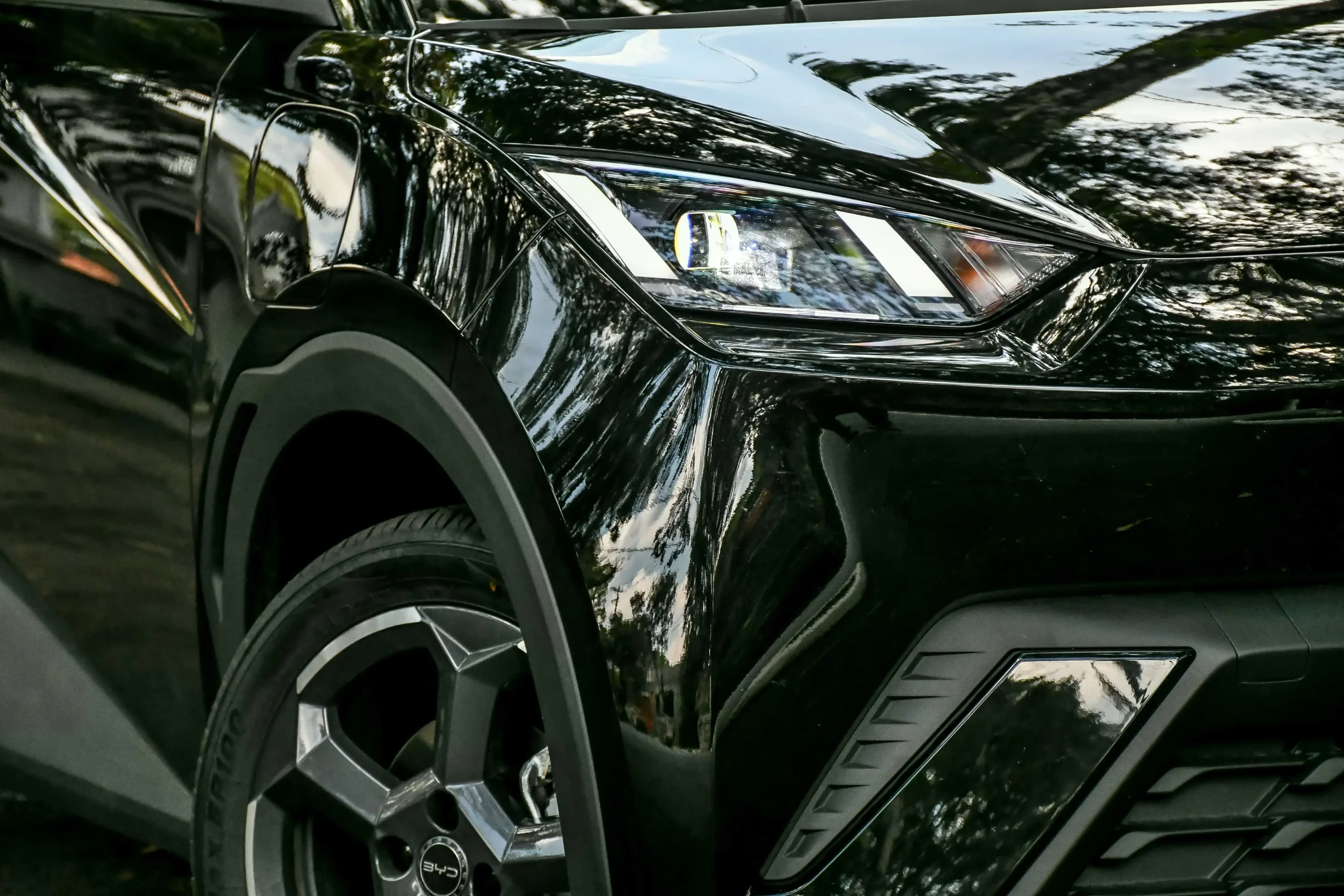 Byd Dolphin 2804