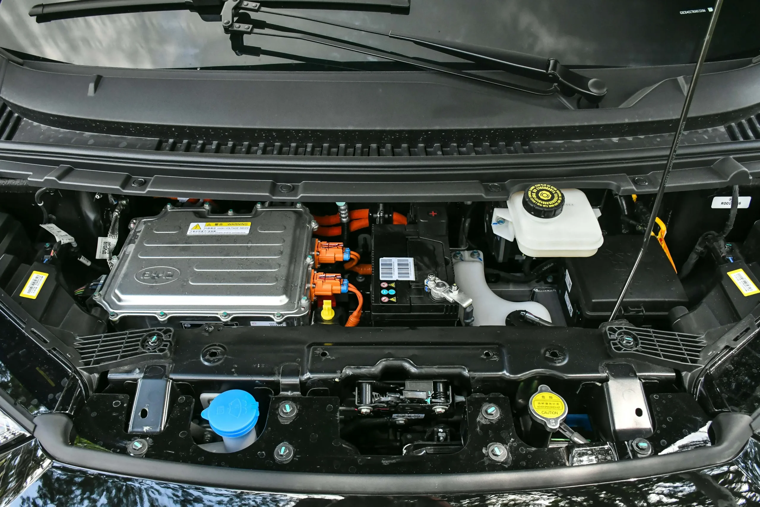 Byd Dolphin 2921