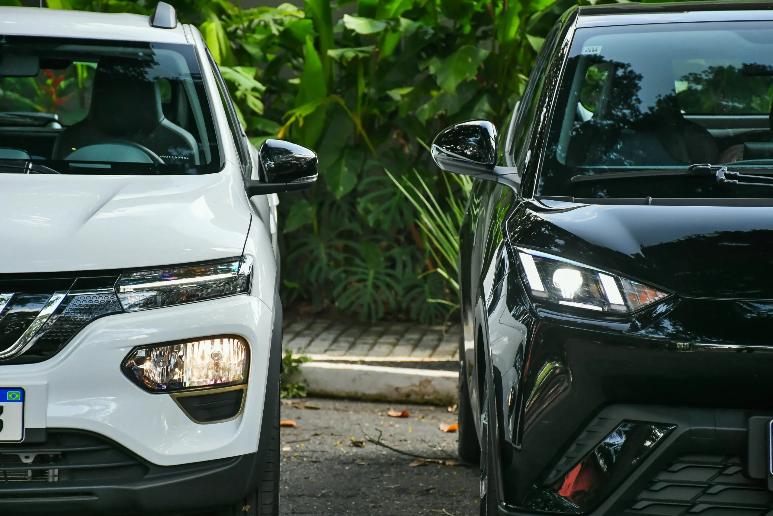 Kwid E Tech X Byd Dolphin Mini 2723 (14)