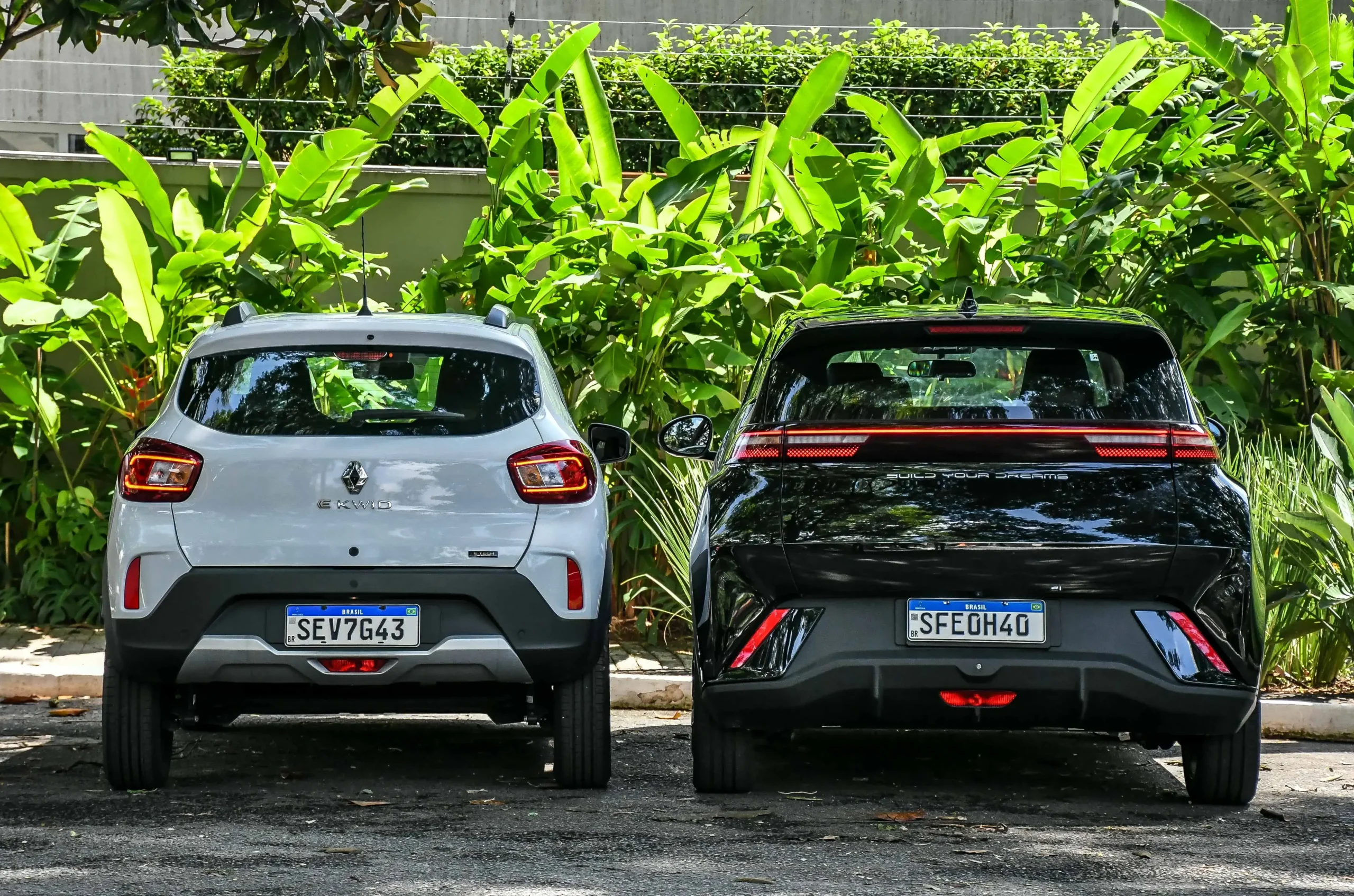 Kwid E Tech X Byd Dolphin Mini 2723 (15)