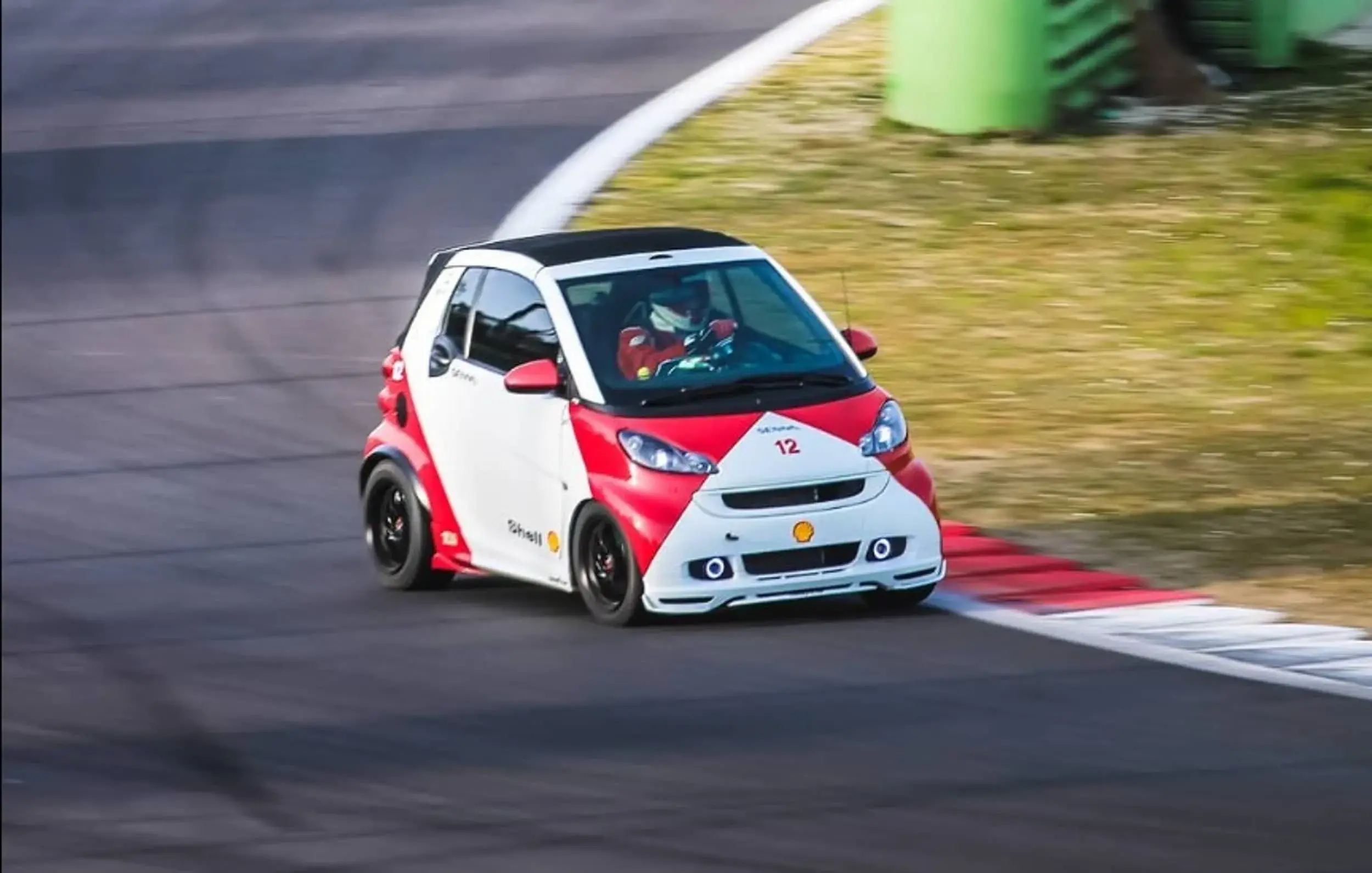 Smart Senna 3 (1)