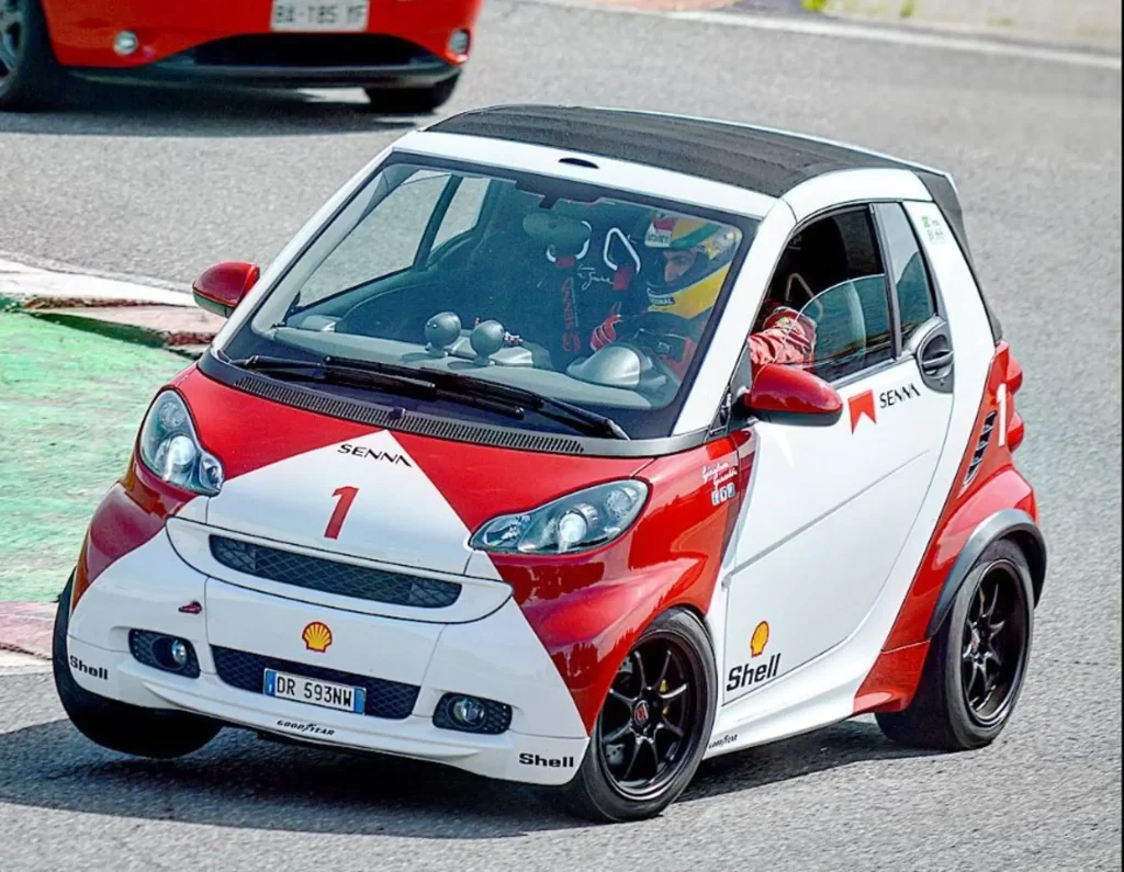 Smart Senna 5 (1)