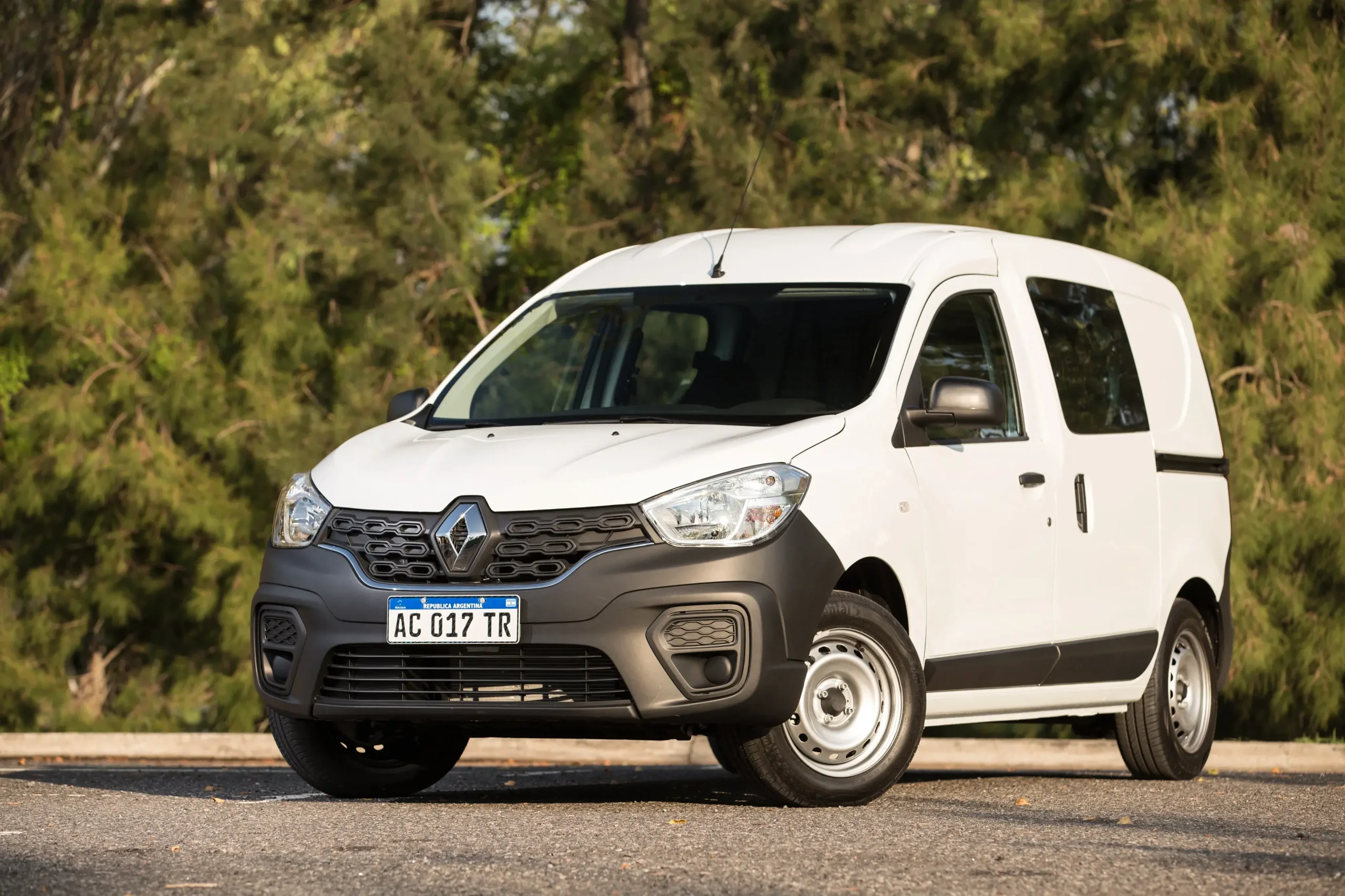 Renault Kangoo Express 969
