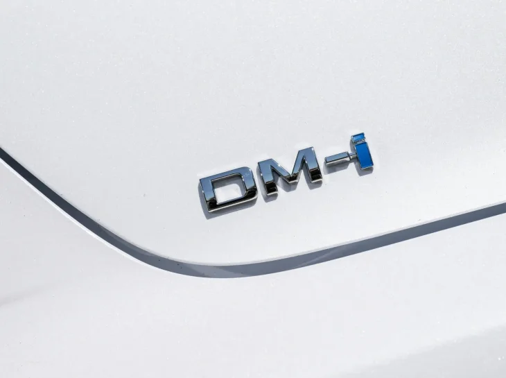 Byd King Ext (41)