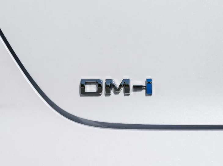 Byd King Ext (42)